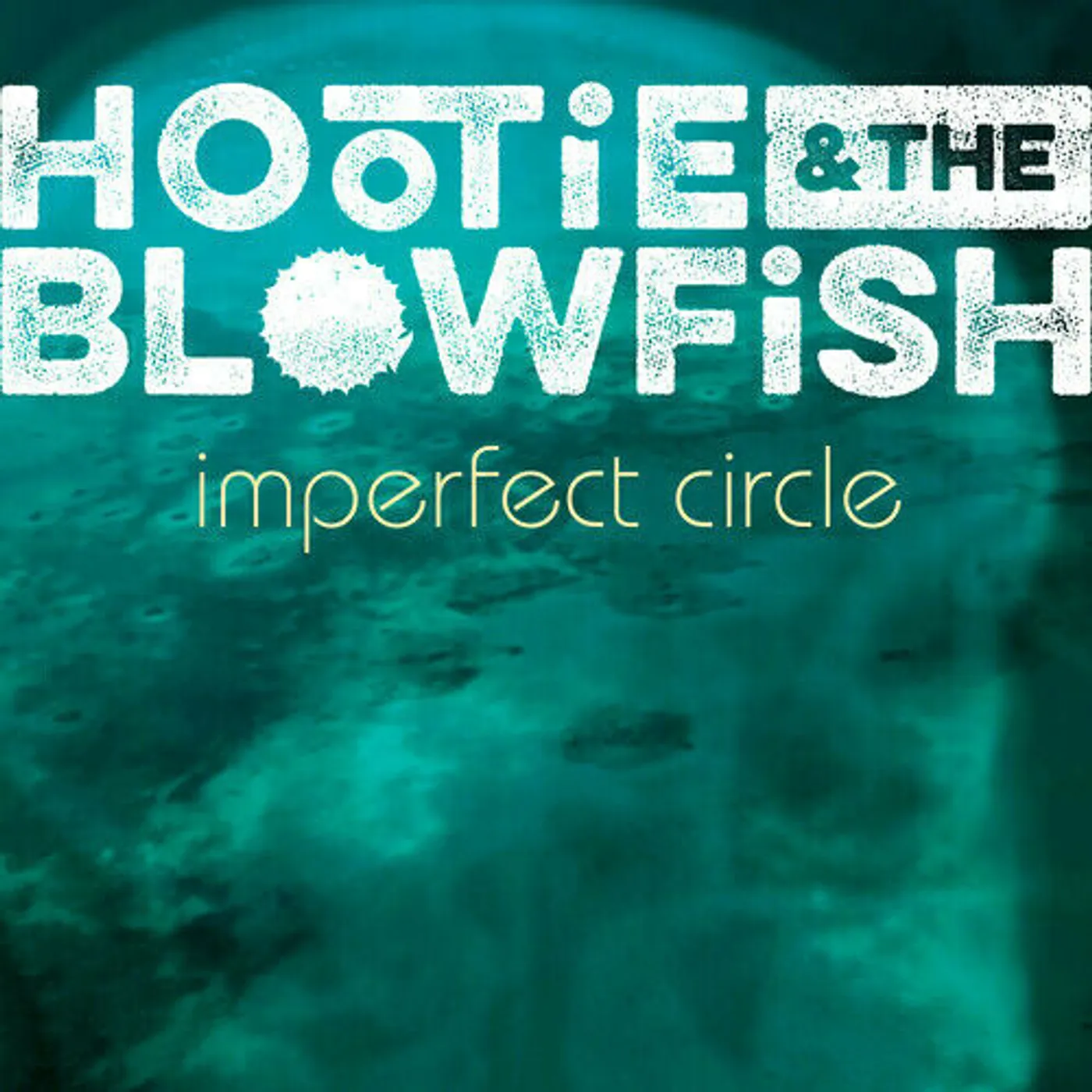 Hootie & The Blowfish Imperfect Circle Vinyl Record
