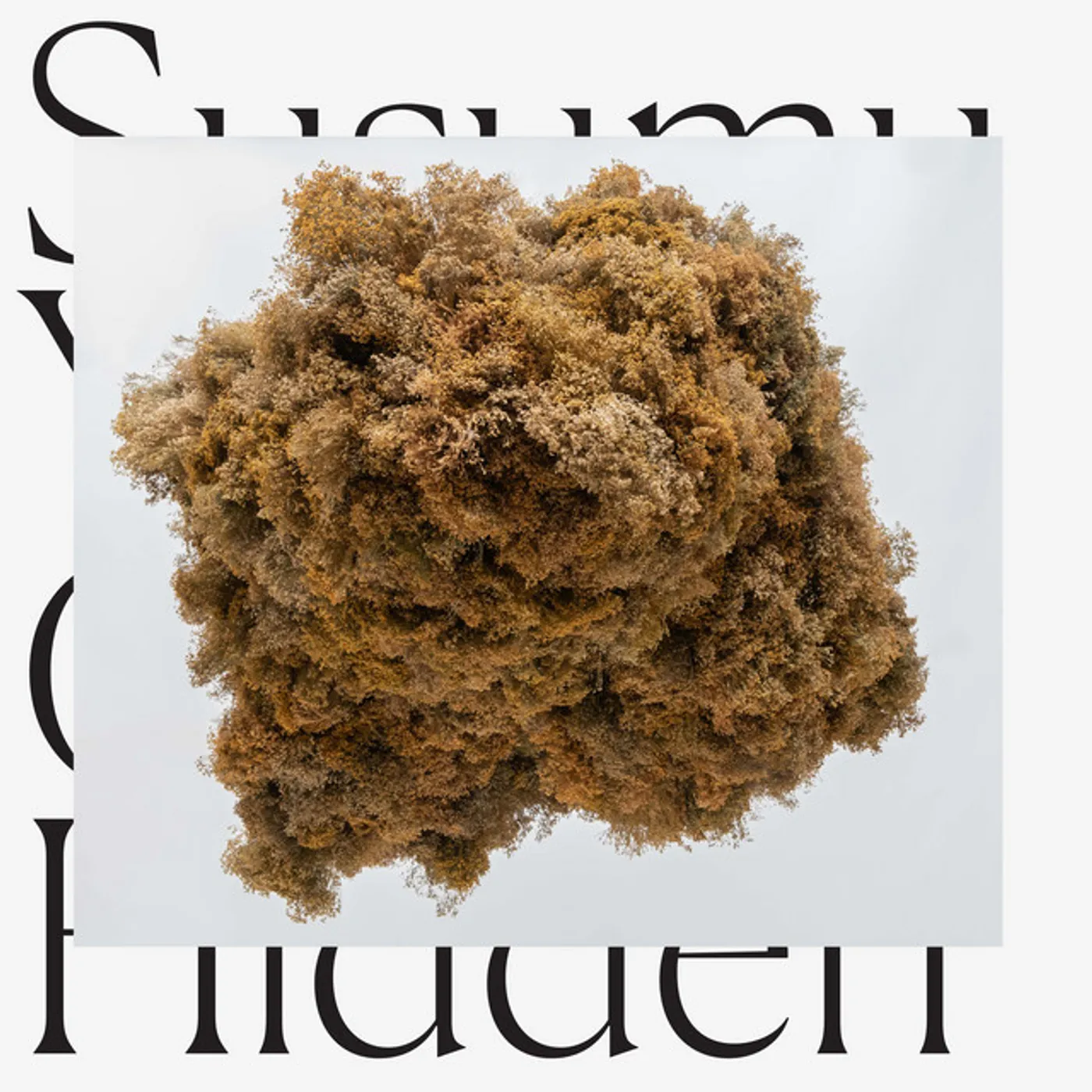 Susumu Yokota Cloud Hidden Vinyl Record