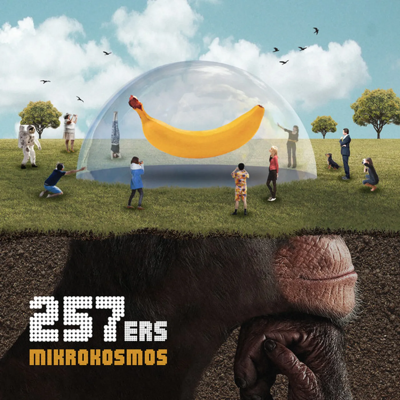 257ers MIKROKOSMOS CD