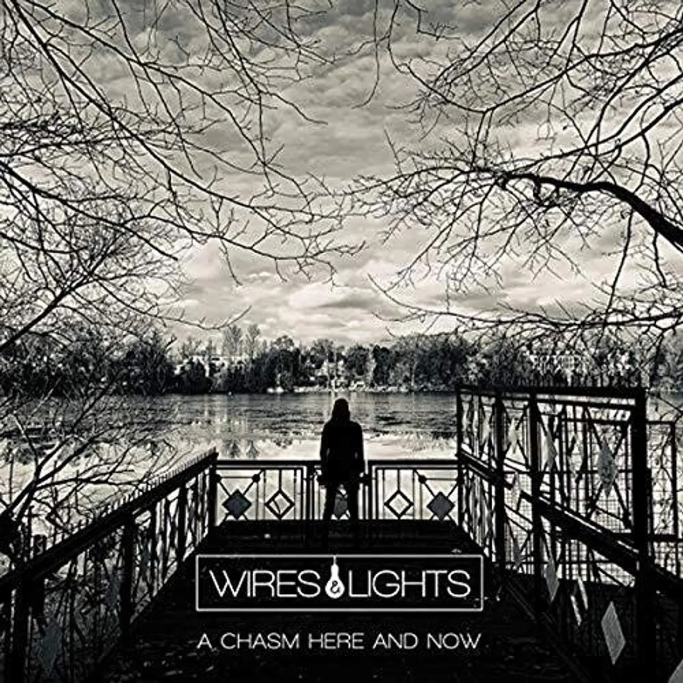 Wires & Lights CHASM HERE & NOW (DIGIPACK) CD