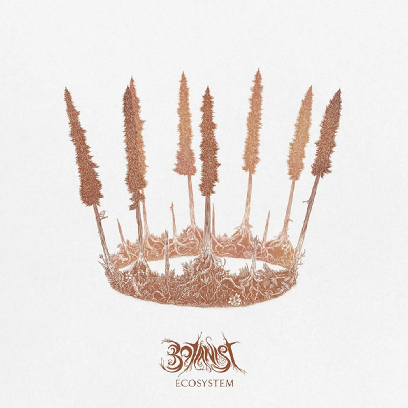 Botanist ECOSYSTEM Vinyl Record