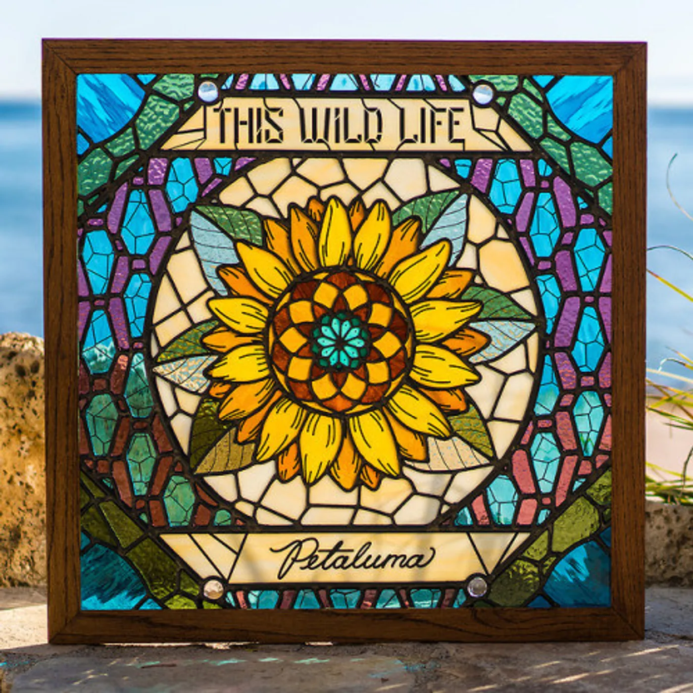 This Wild Life PETALUMA (TRANS PALE BLUE) Vinyl Record