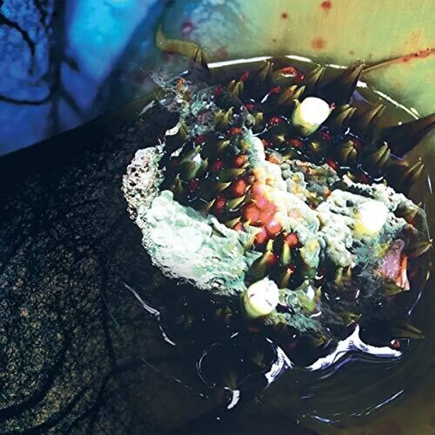 Julia Reidy In Real Life Vinyl Record