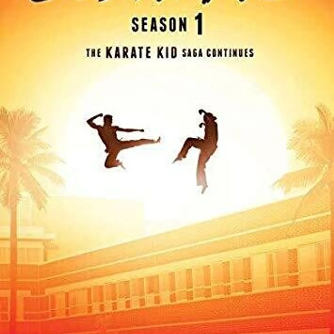 COBRA KAI: SEASON 1 DVD