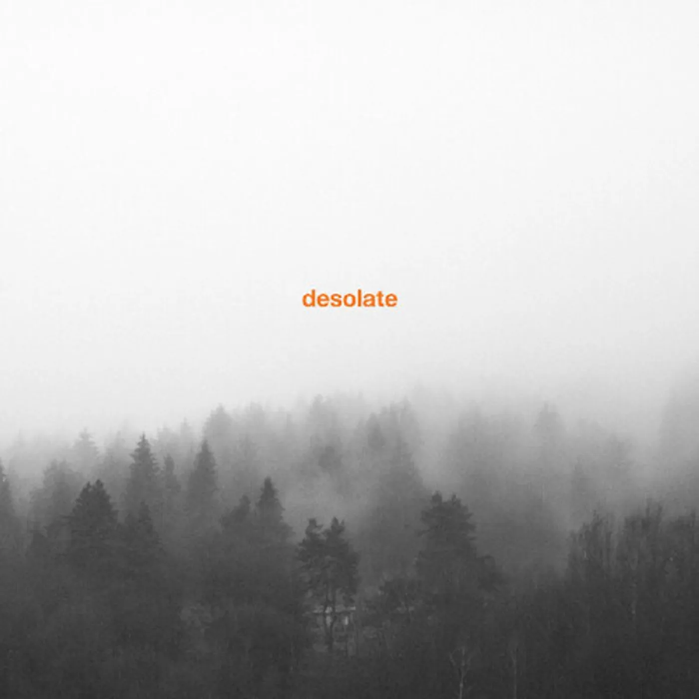 Desolate Exceptionalism Vinyl Record
