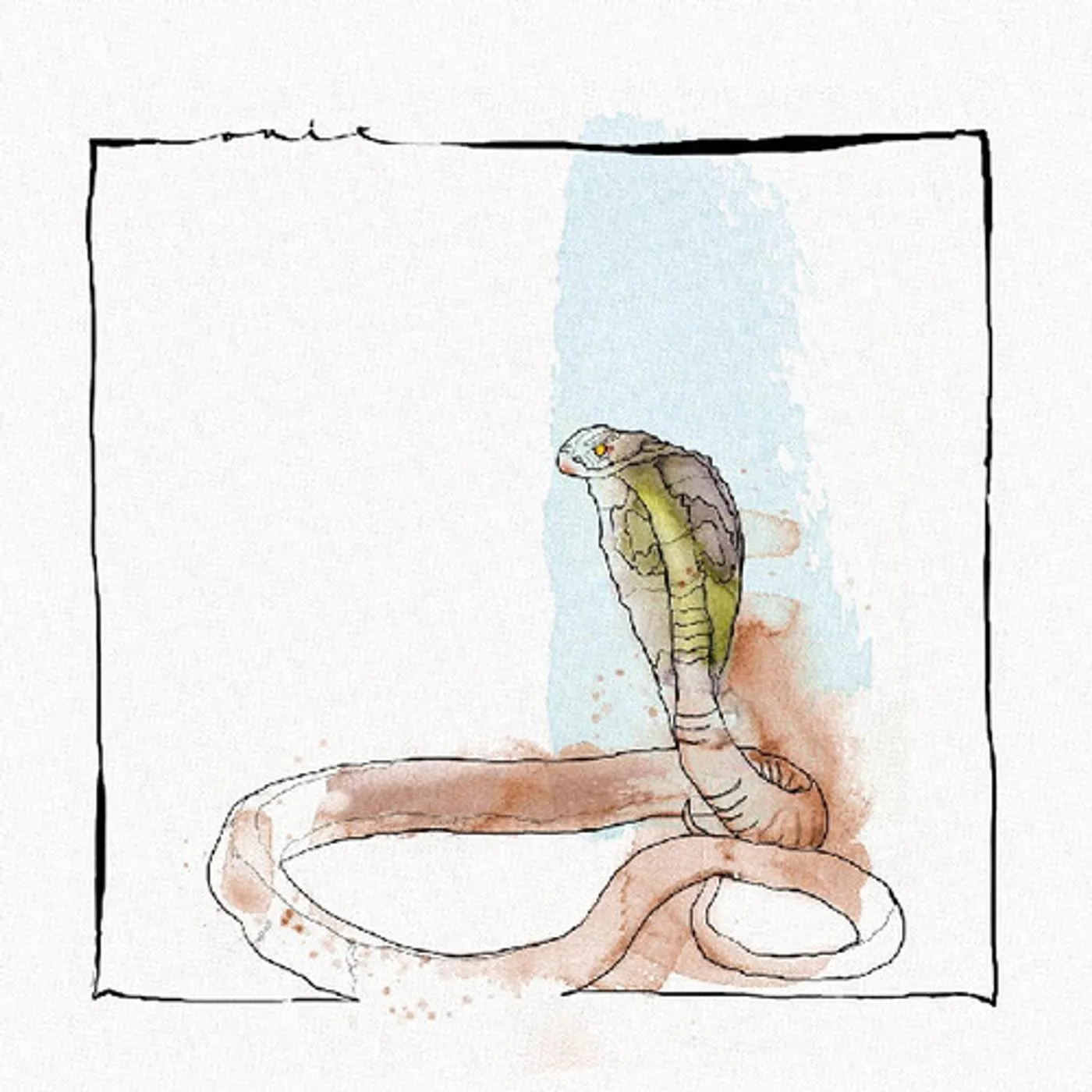 David Mayer Skanda Vinyl Record