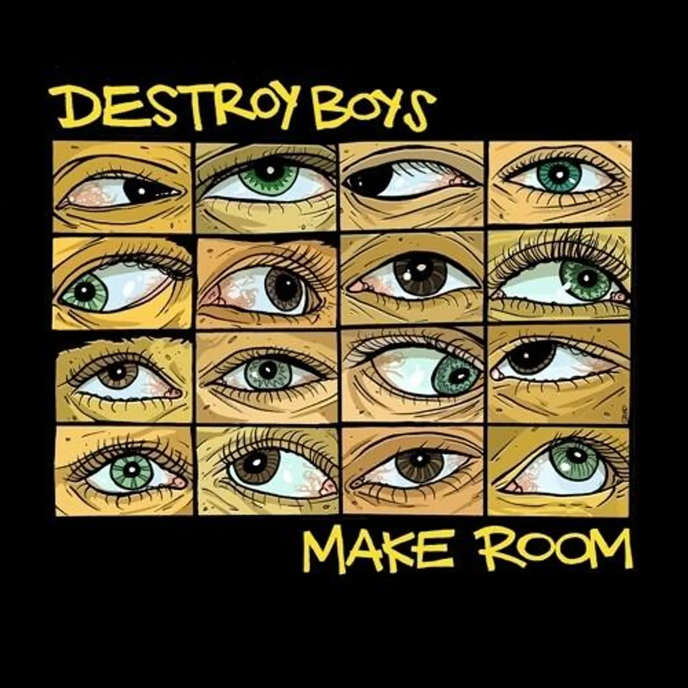Destroy Boys Make Room Vinyl Record
