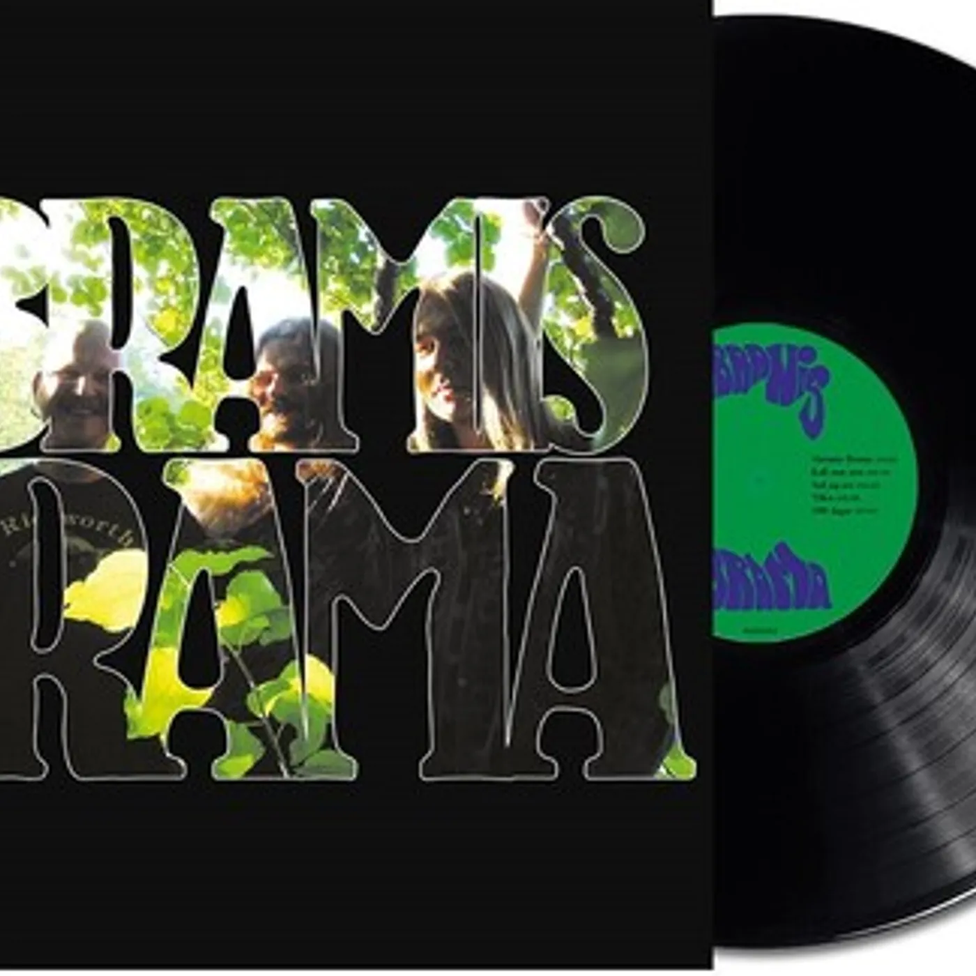 Abramis Brama NAR TYSTNADEN LAGT SIG Vinyl Record