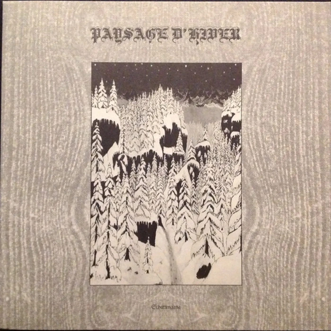 Paysage d'hiver Vinyl Record