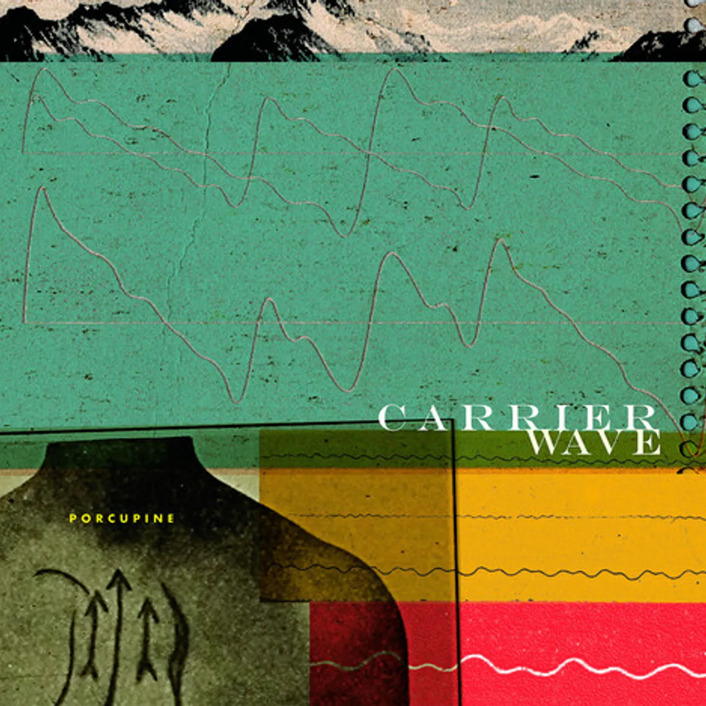 Porcupine Carrier Wave Vinyl Record