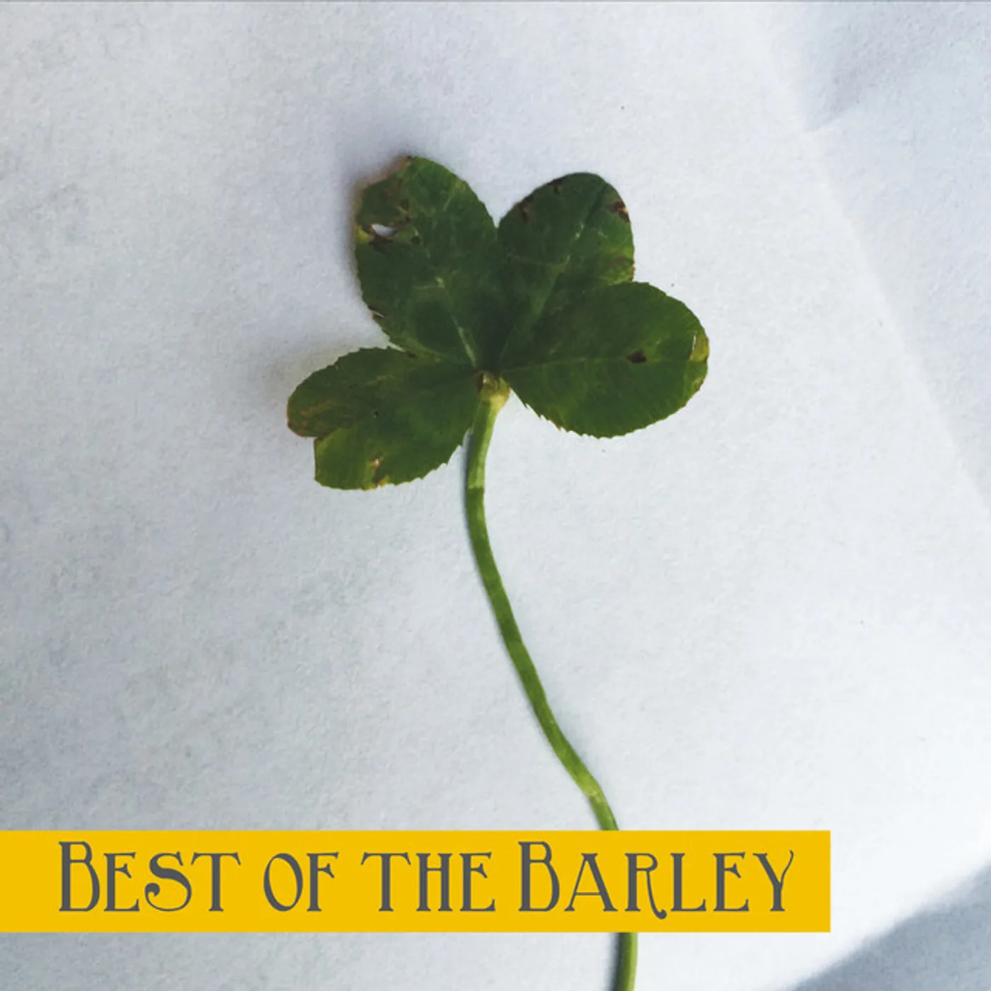 Barleyjuice BEST OF THE BARLEY CD