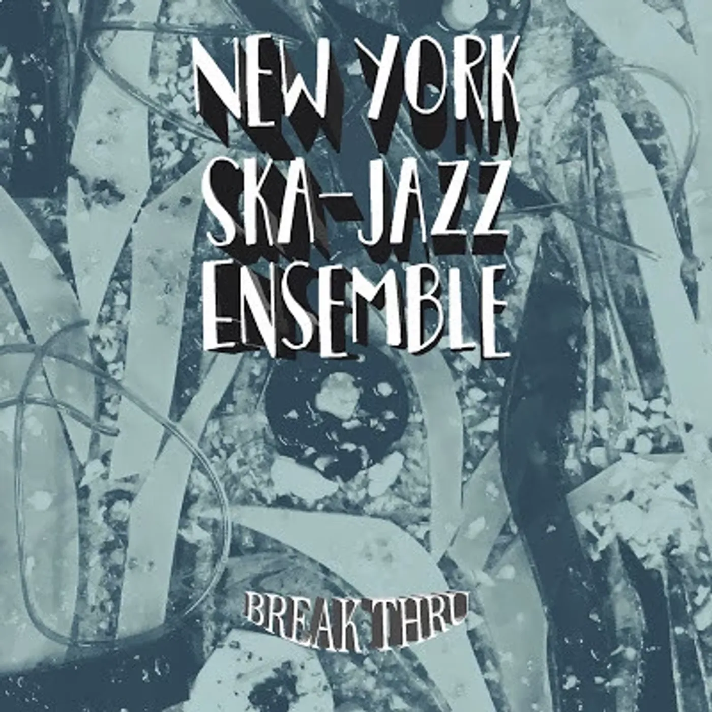 New York Ska-Jazz Ensemble Break Thru Vinyl Record