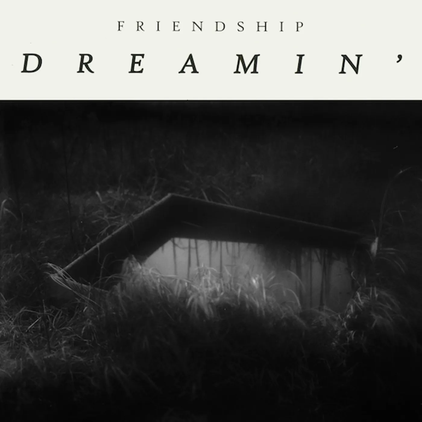Friendship DREAMIN Vinyl Record