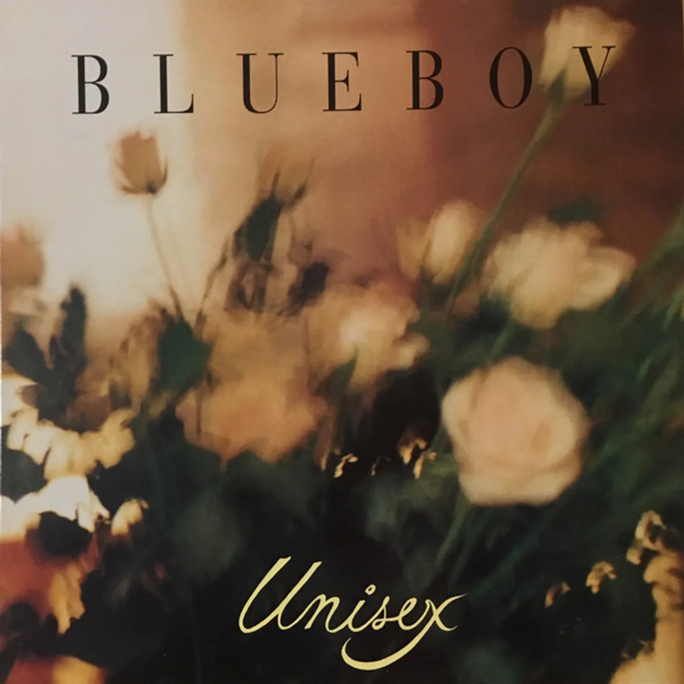 Blueboy Unisex Vinyl Record