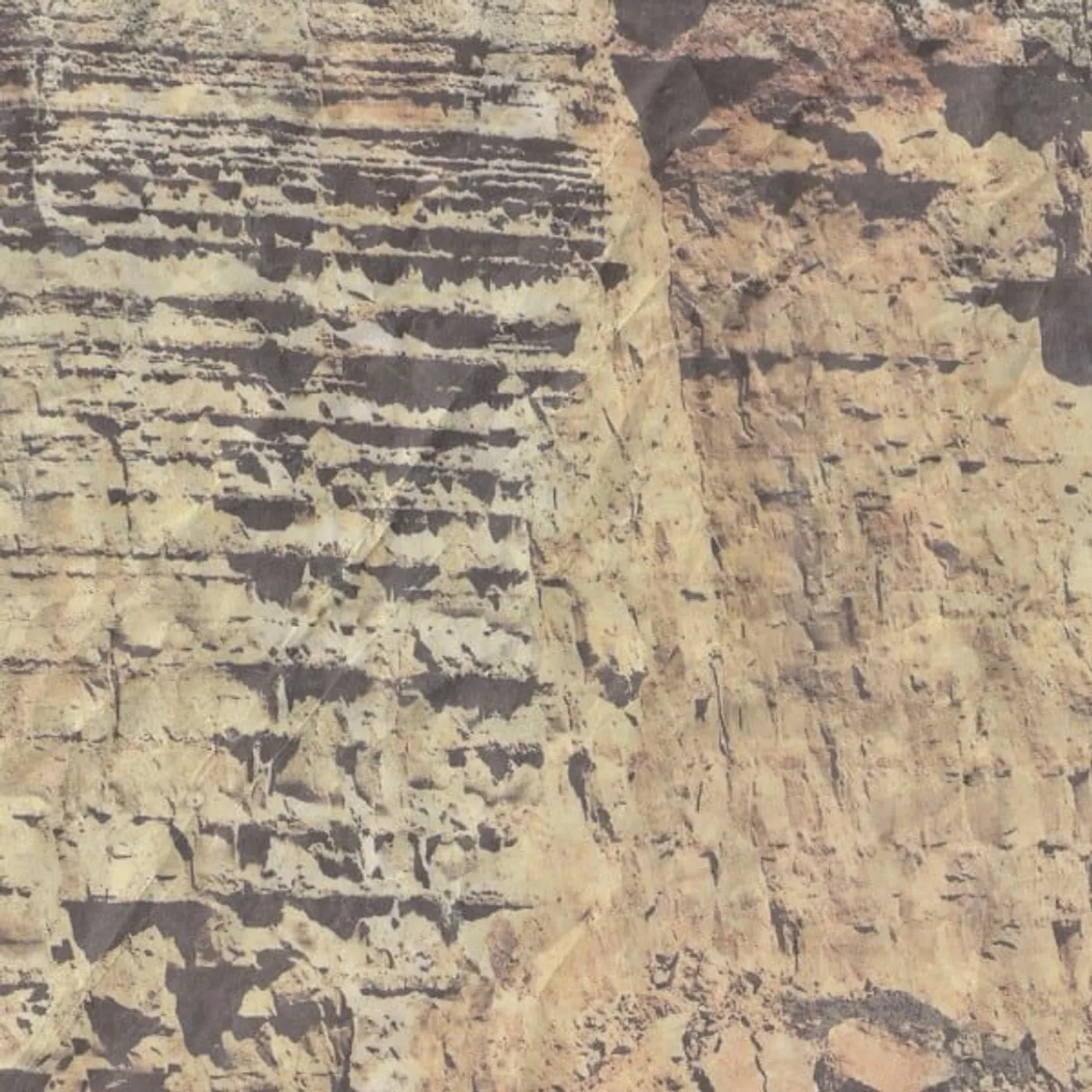 Hers Tough Cunt Vinyl Record