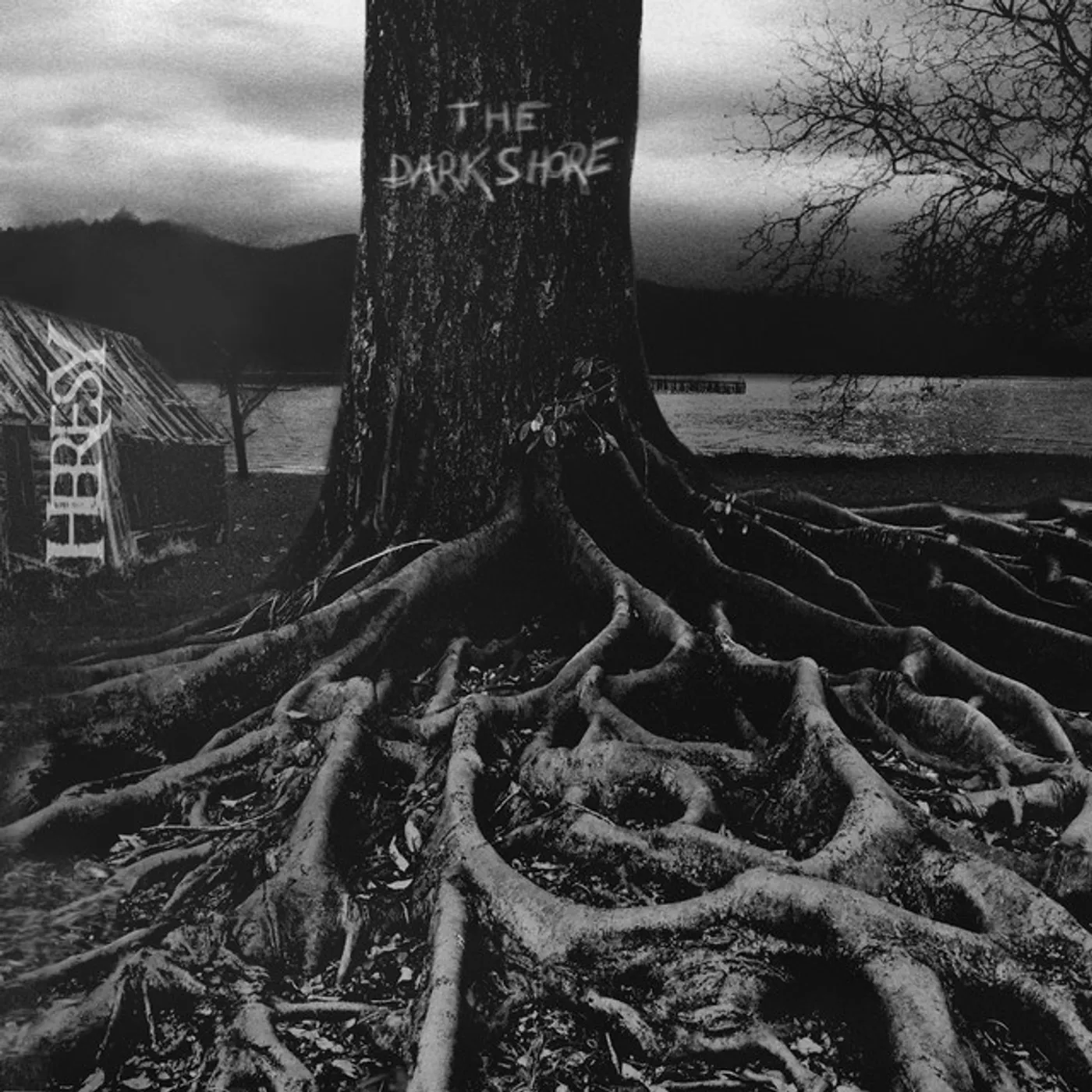 Heresy DARK SHORE CD