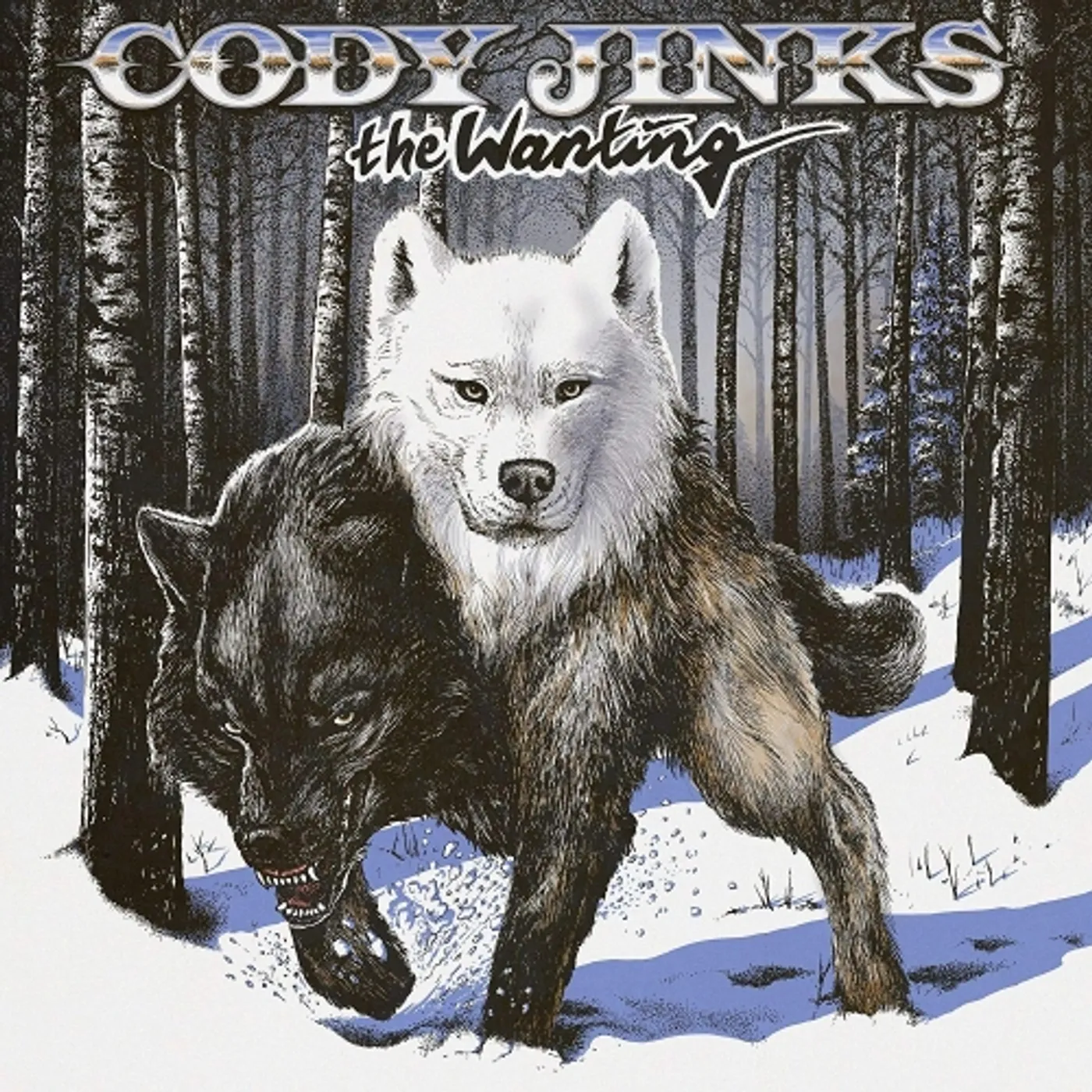 Cody Jinks WANTING AFTER THE FIRE Vinyl Record