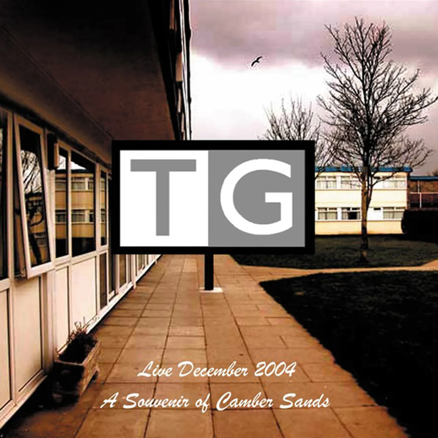 Throbbing Gristle SOUVENIR OF CAMBER SANDS (LIVE) CD