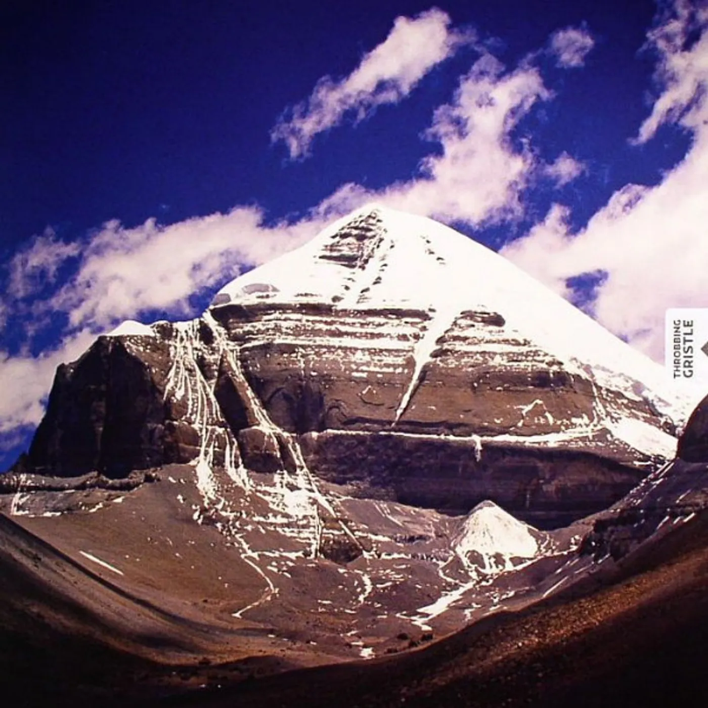 Throbbing Gristle PART TWO: THE ENDLESS NOT + TG NOW CD