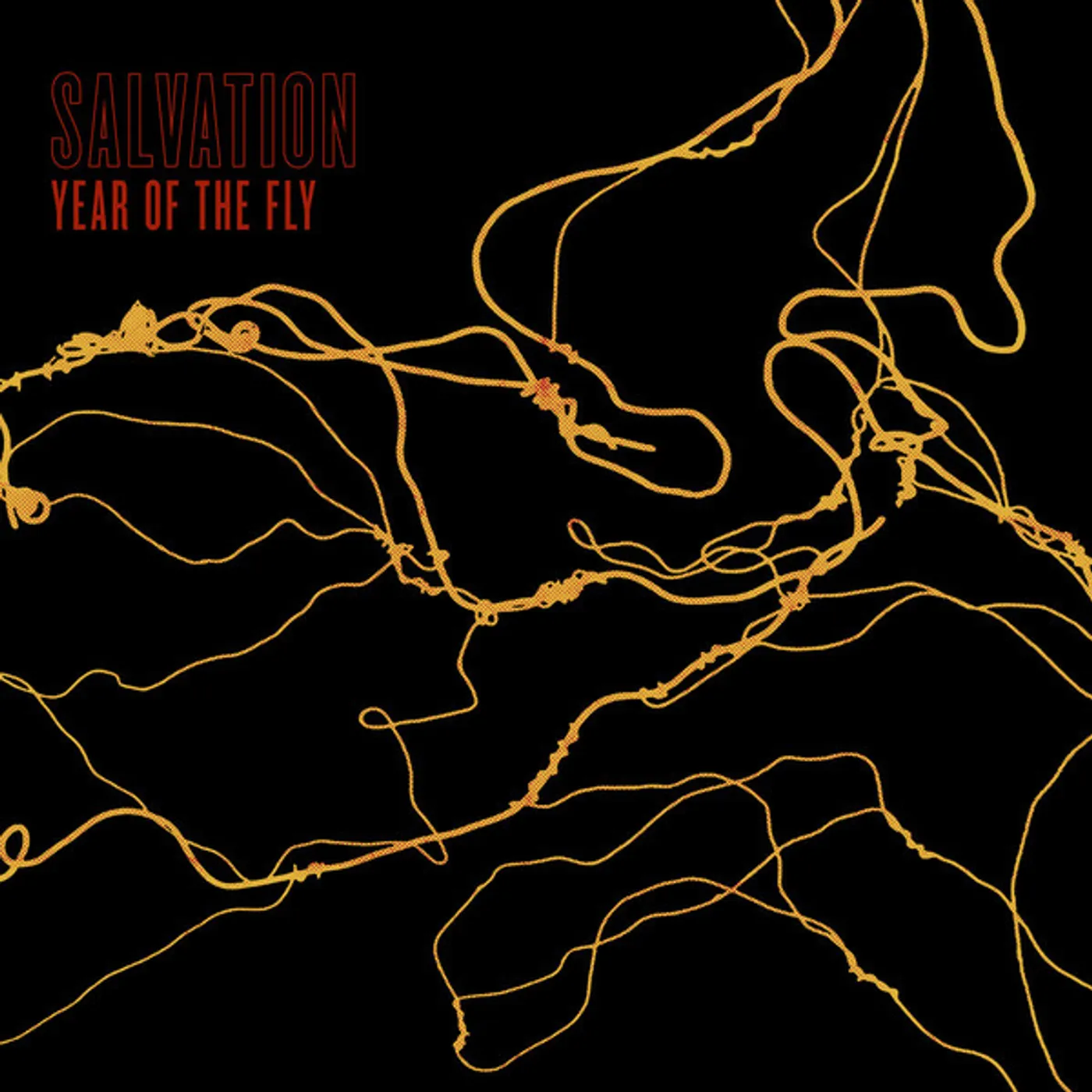 Salvation Year of the Fly Vinyl Record
