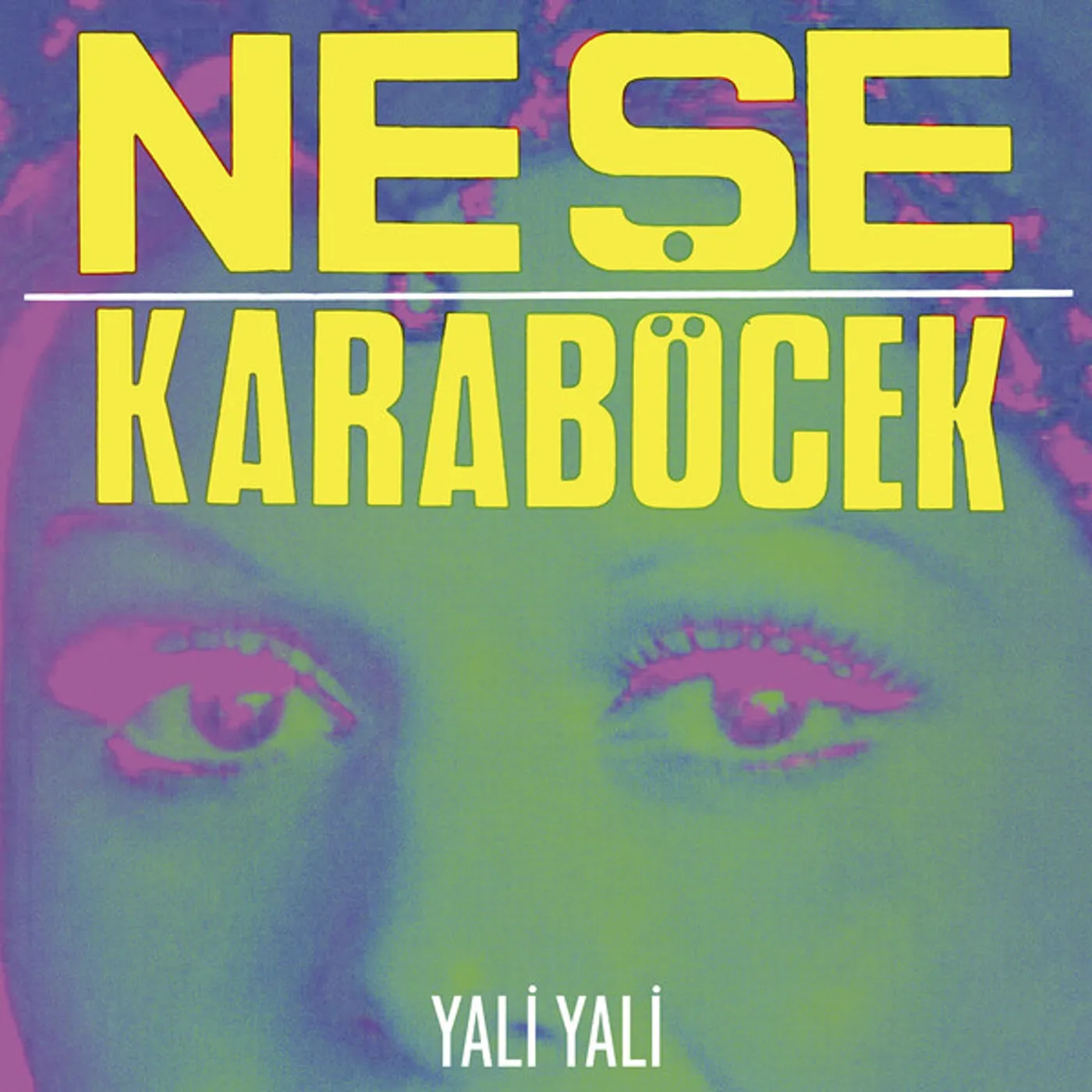 Neşe Karaböcek Yali Yali Vinyl Record