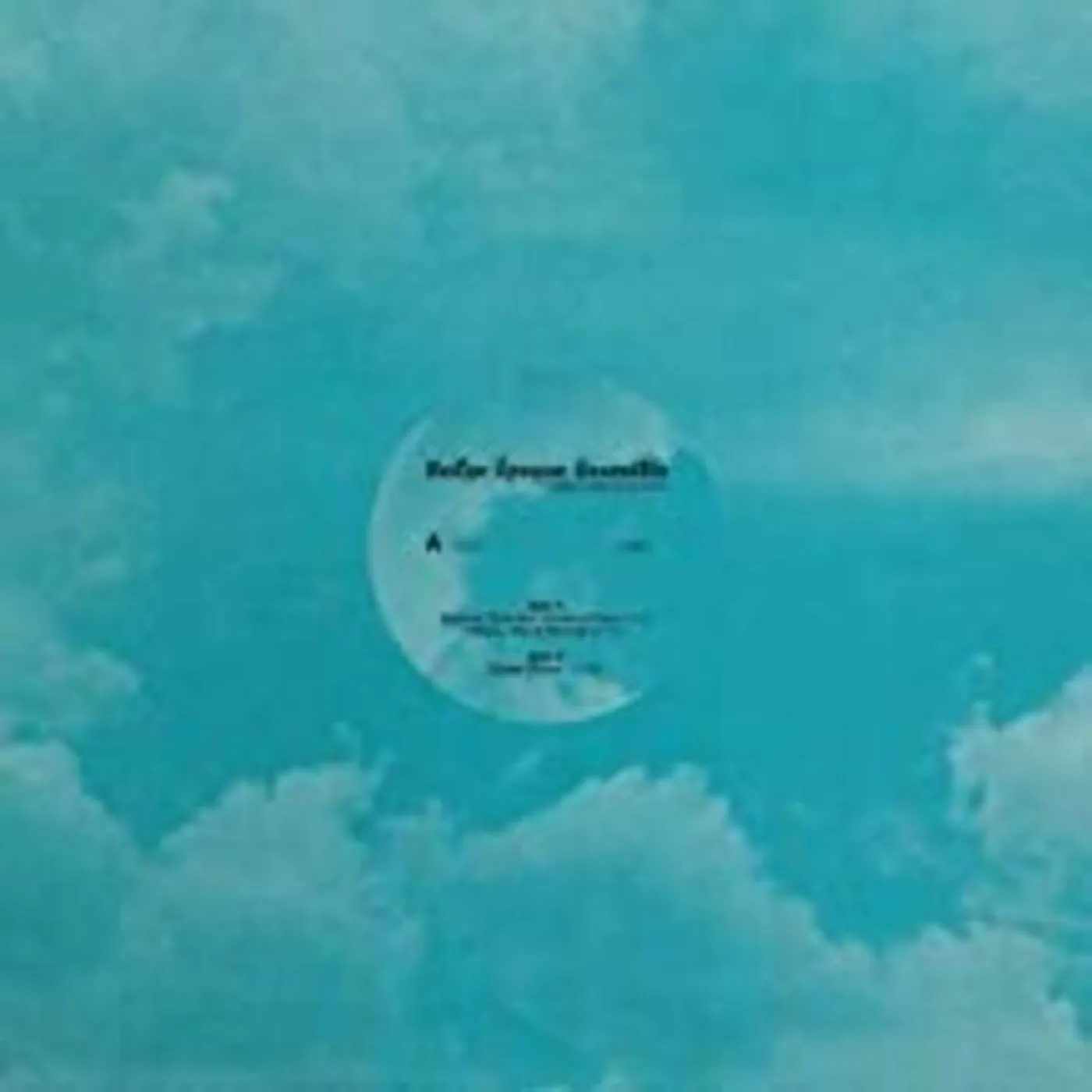 Badge Époque Ensemble NATURE MAN & WOMAN Vinyl Record