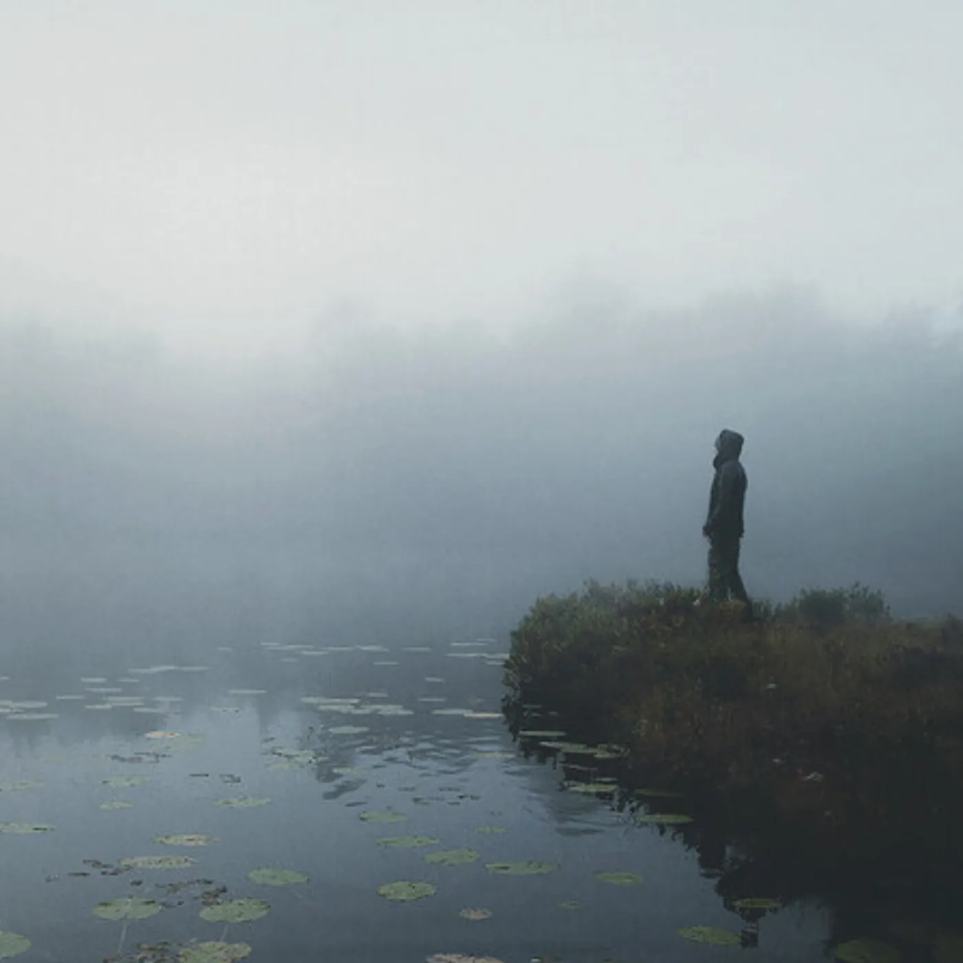 Ofdrykkja IRRFARD CD