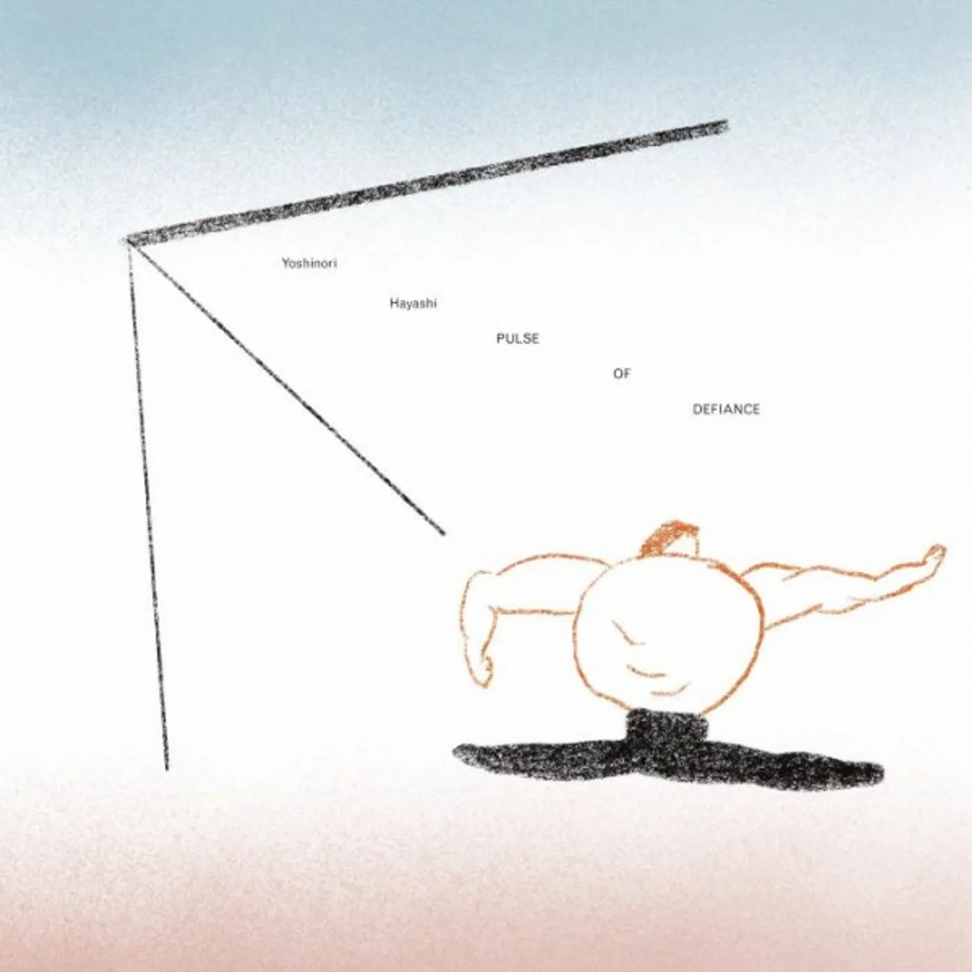 Yoshinori Hayashi Y. Vinyl Record