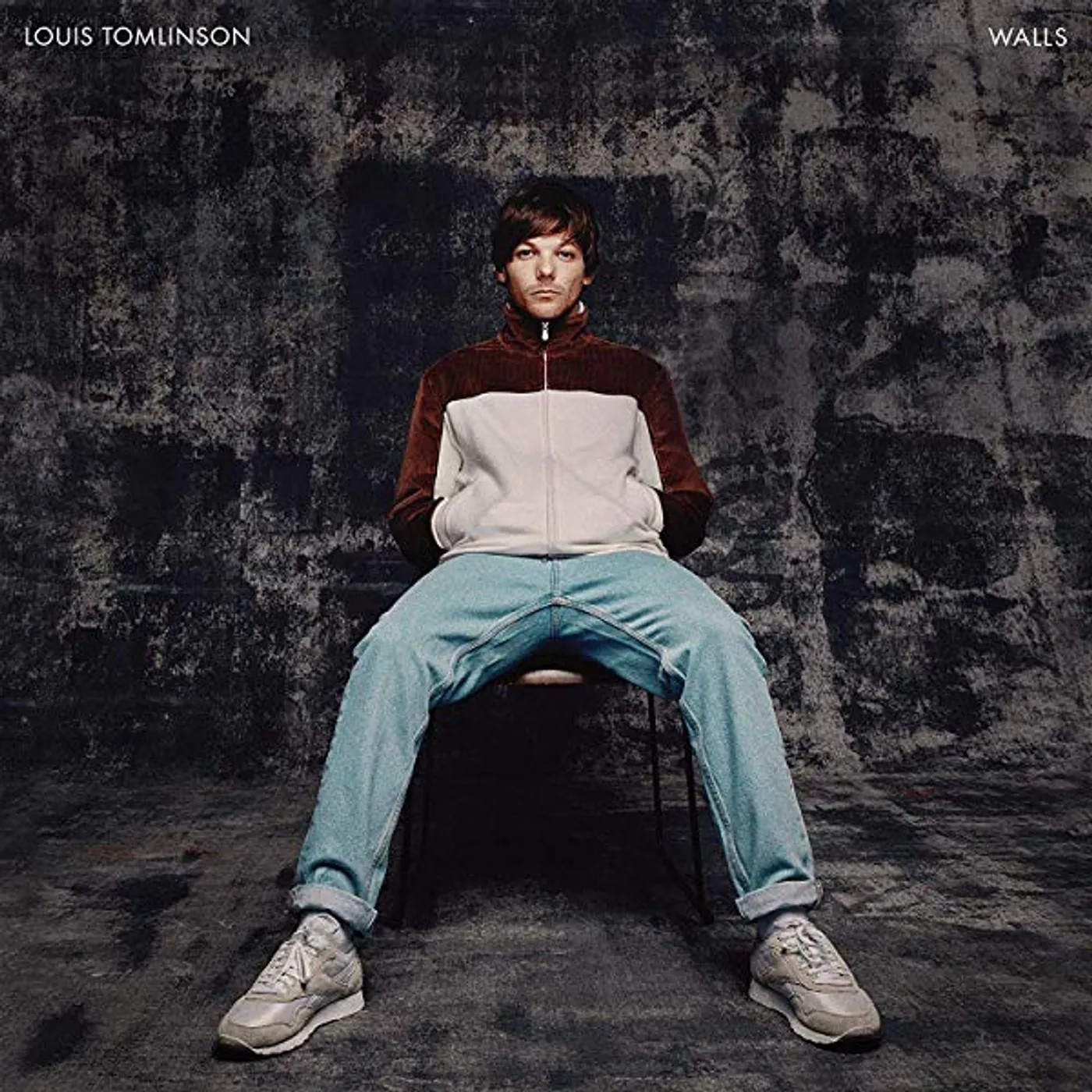 Louis Tomlinson Walls Vinyl Record
