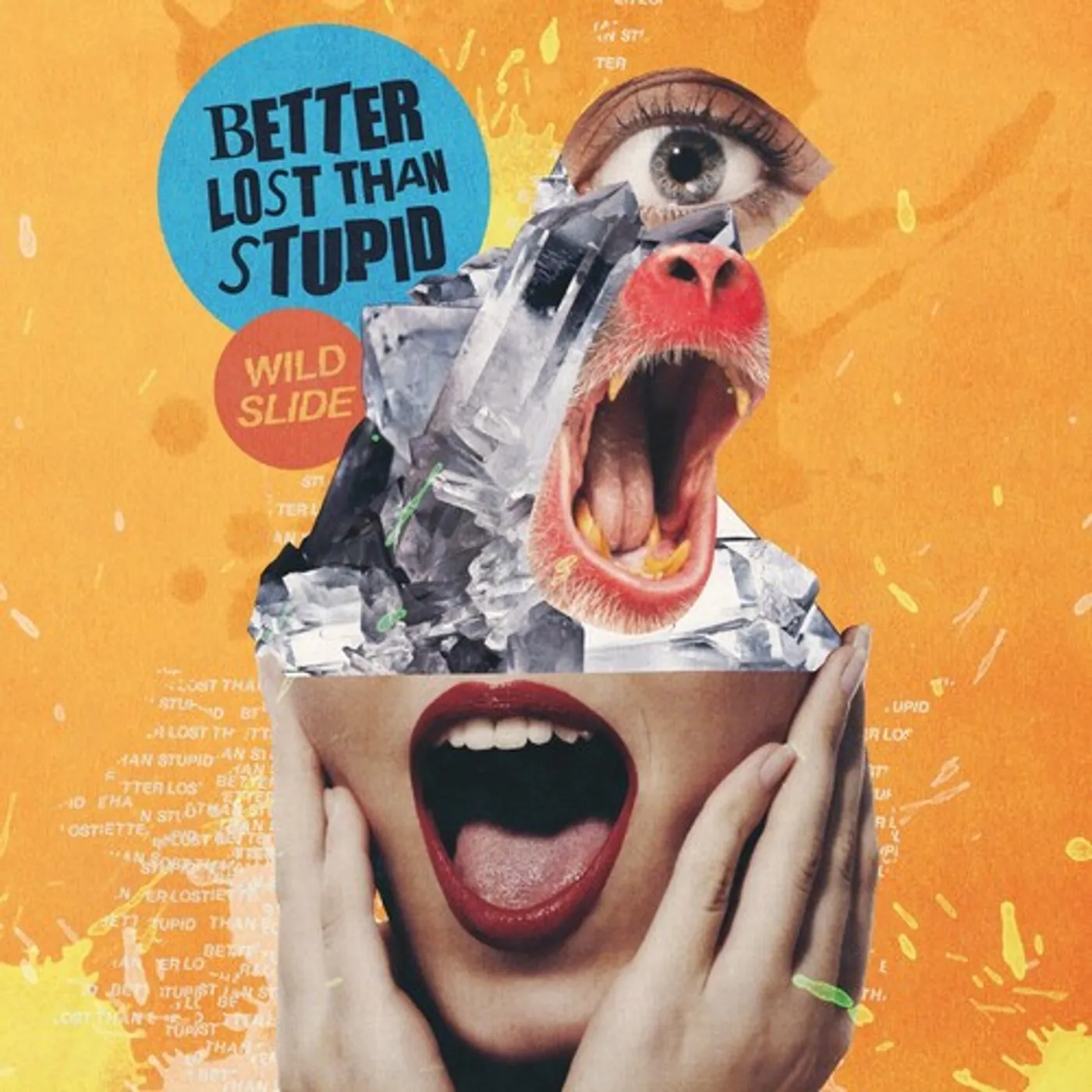 Better Lost Than Stupid Wild Slide Vinyl Record