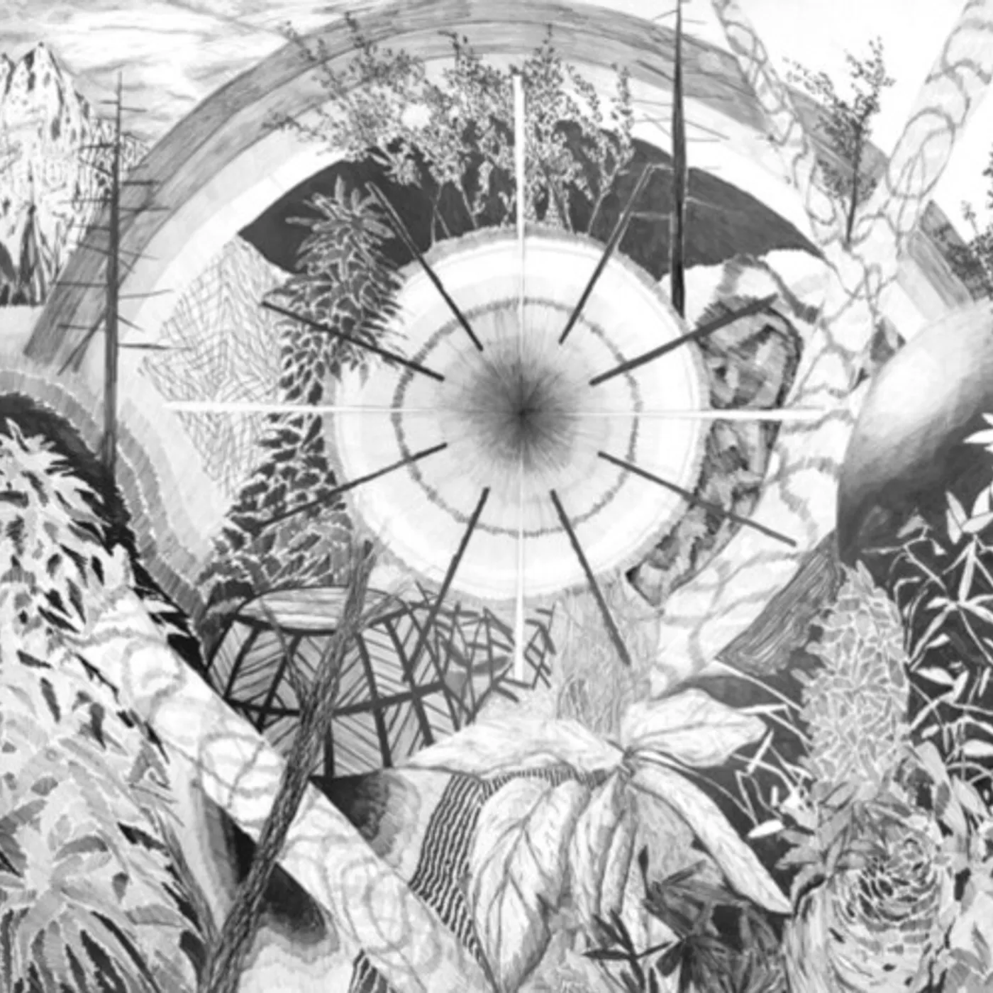 Thee Oh Sees Dog Poison Vinyl Record