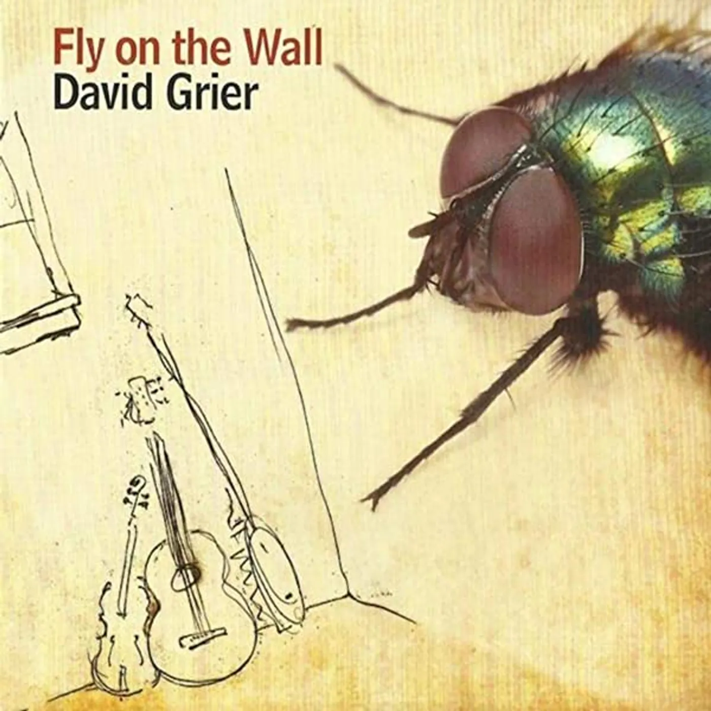 David Grier FLY ON THE WALL CD