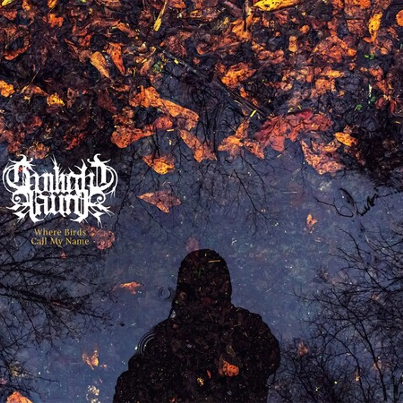 Twilight Fauna WHERE BIRDS SING MY NAME CD