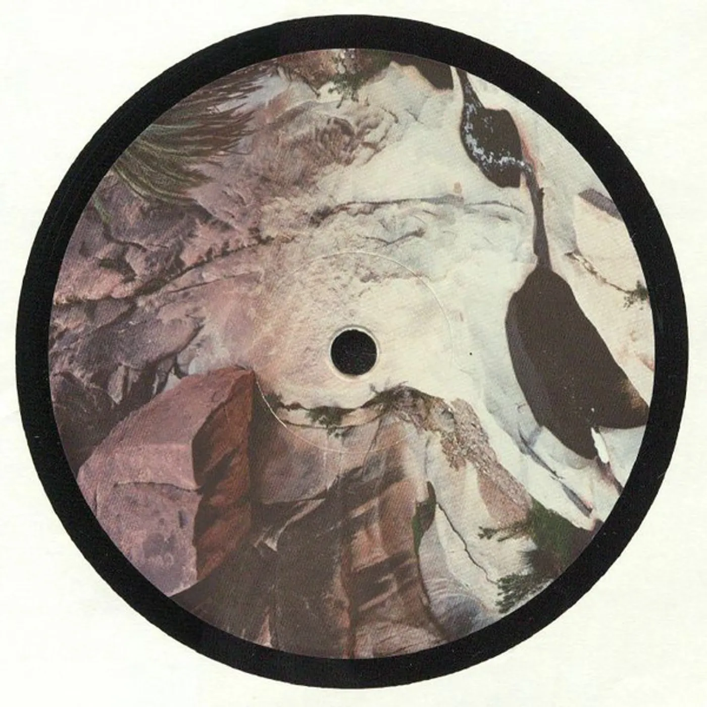 Rossum Universal Tracks Ebaum's Dreamland Vinyl Record