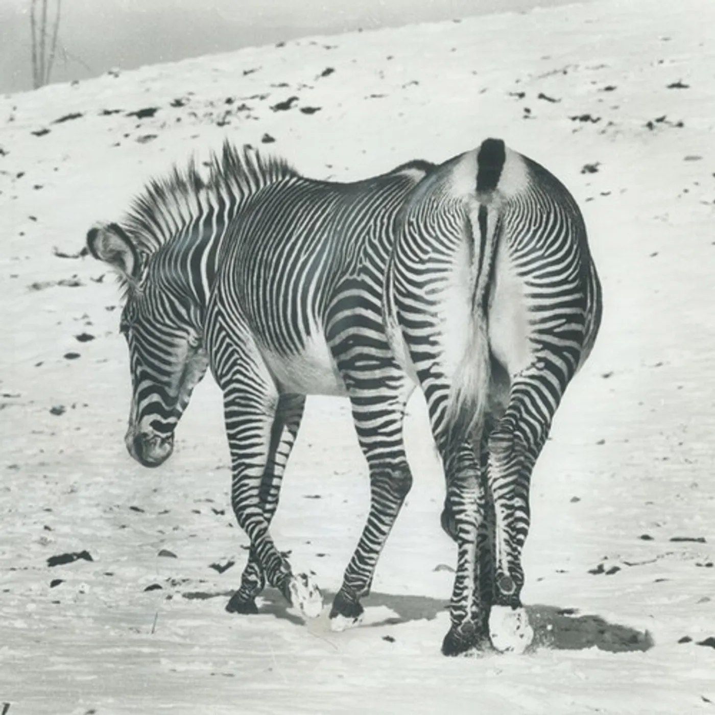 Andy Stott It Should Be Us Vinyl Record