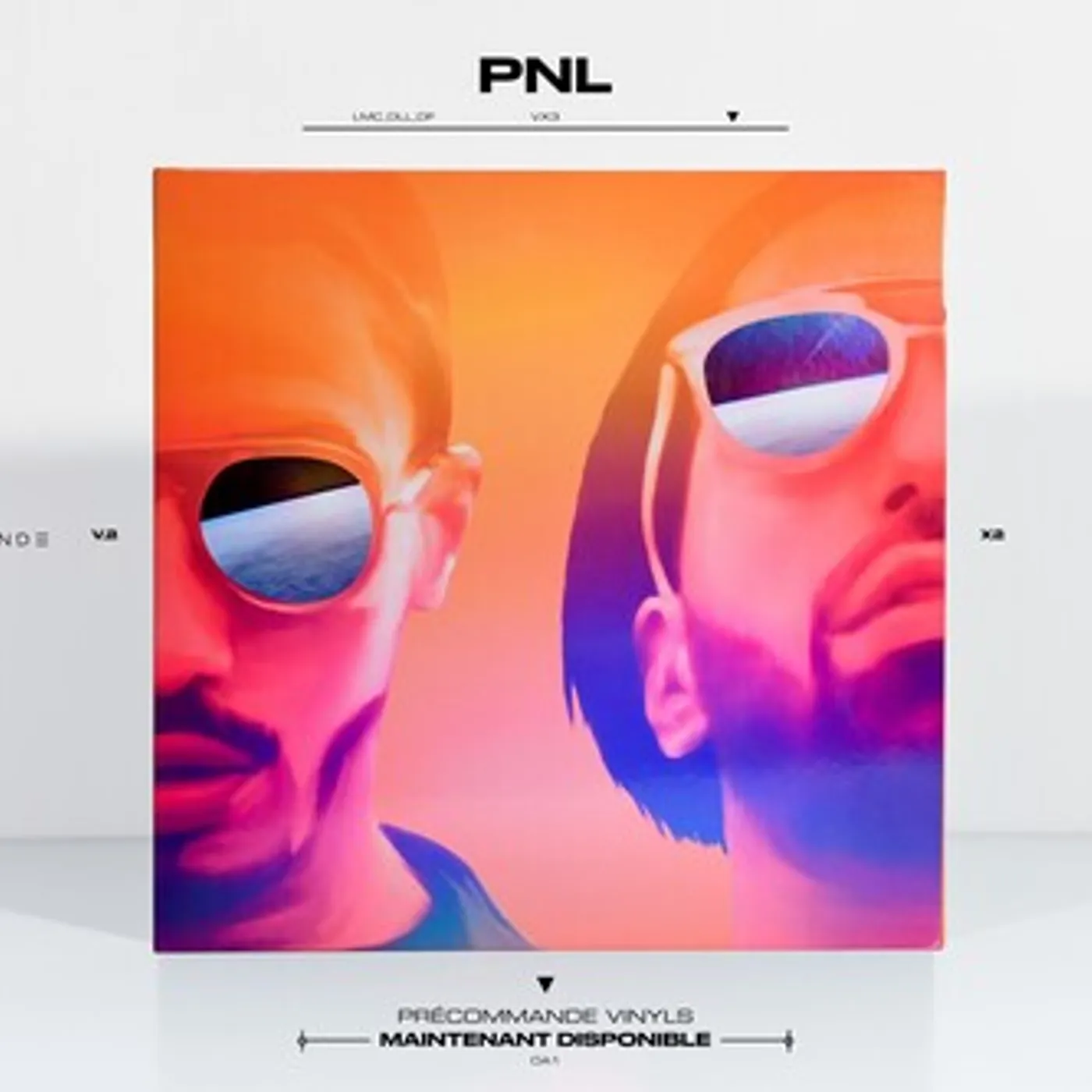 PNL DANS LA LEGENDE Vinyl Record