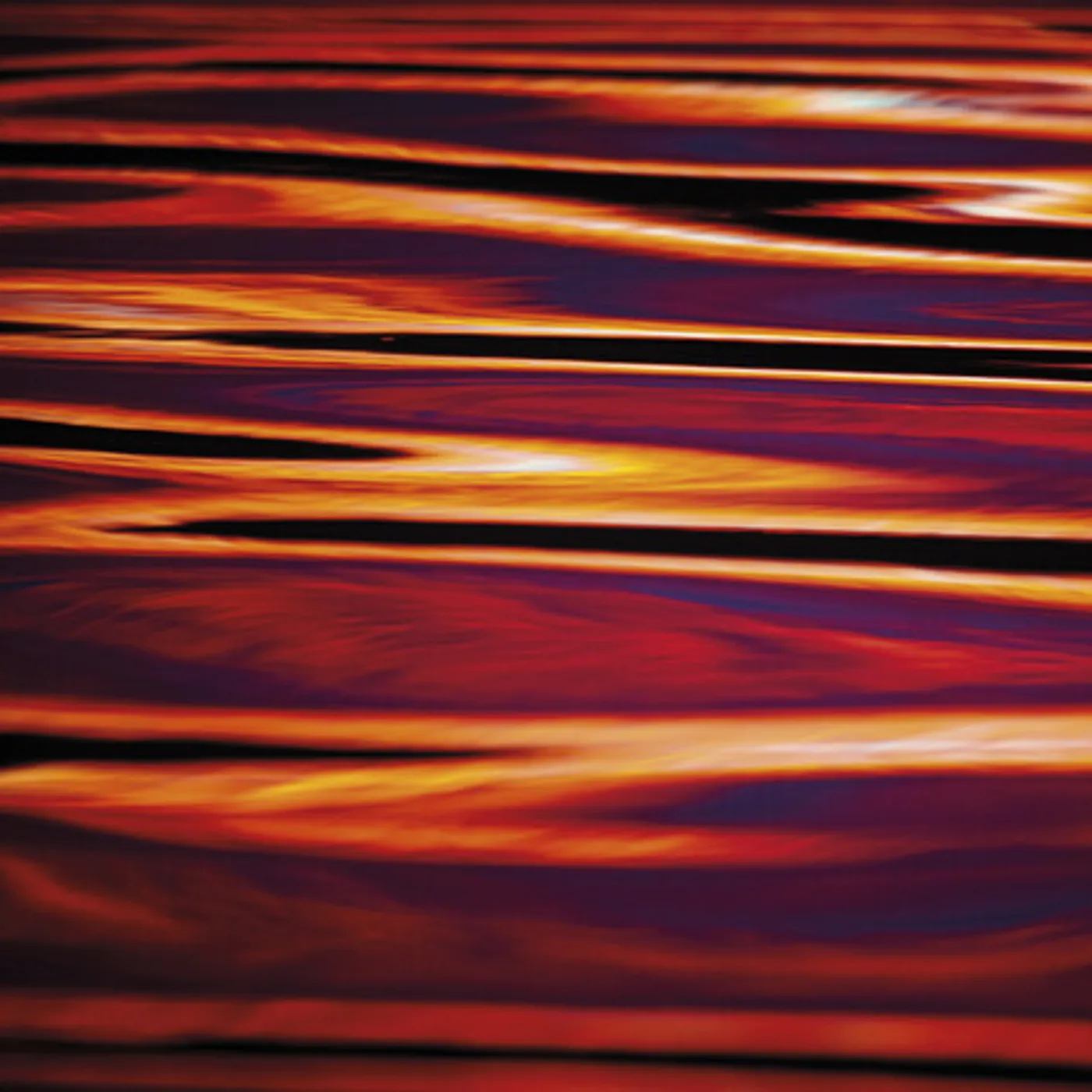 Nigel Mullaney 31 DAYS CD