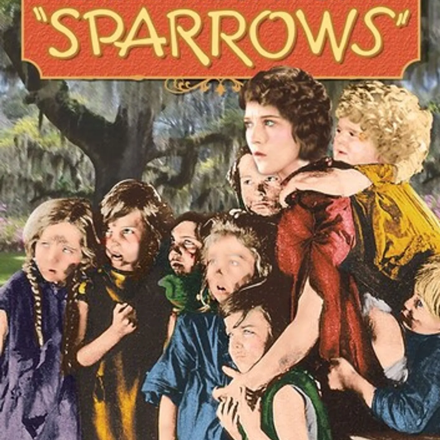 Sparrows DVD