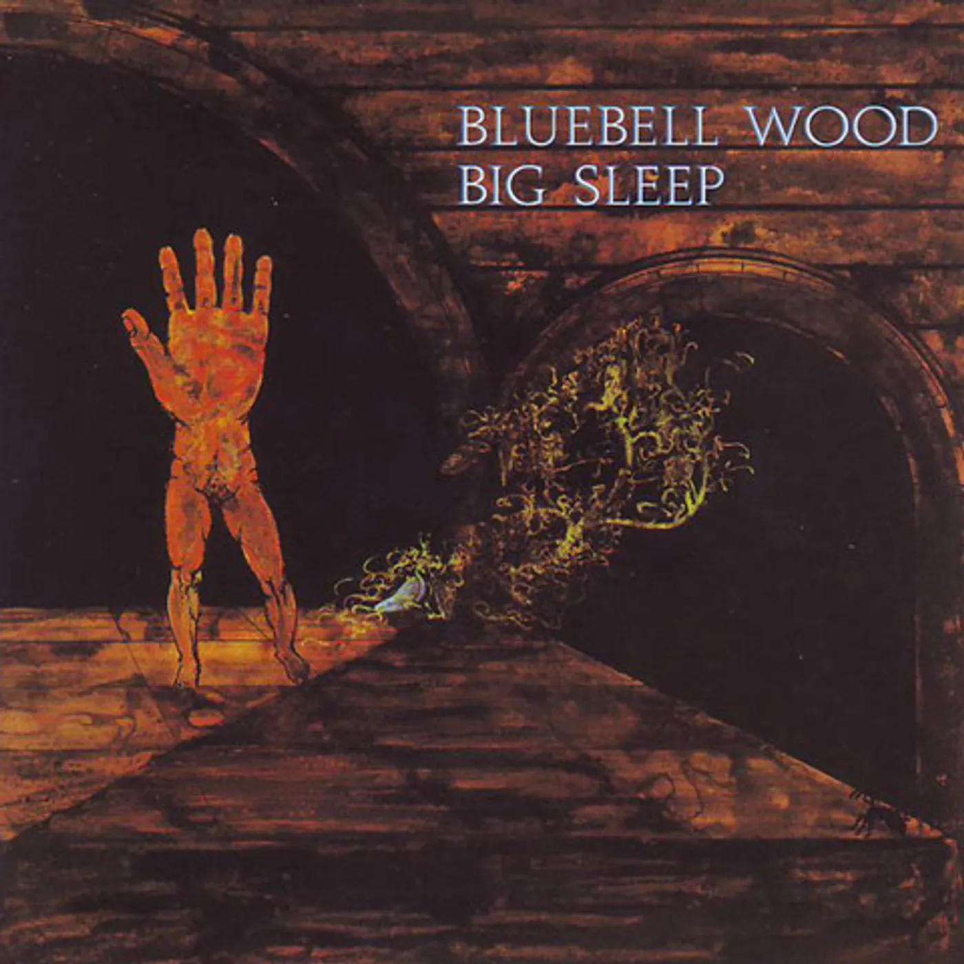 The Big Sleep Bluebell Wood Vinyl Record