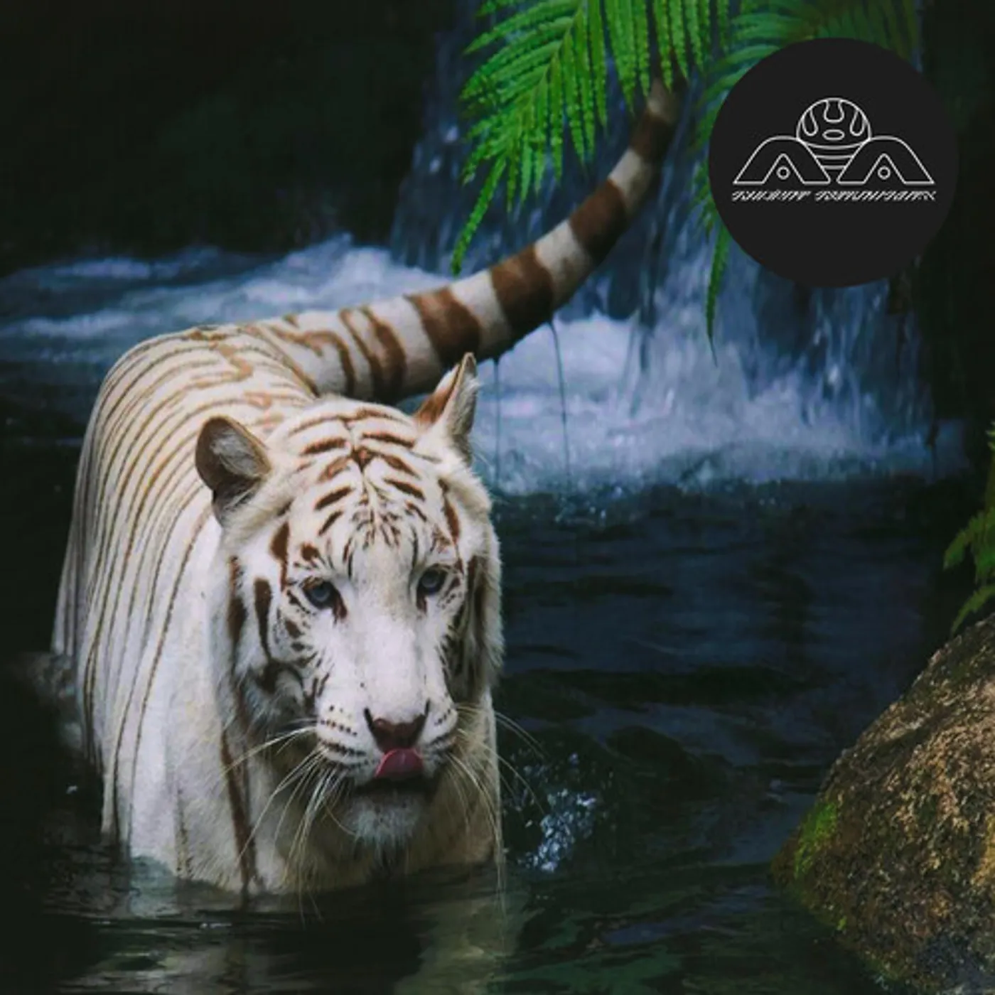 Lone Not Seeing Is A Flower Vinyl Record