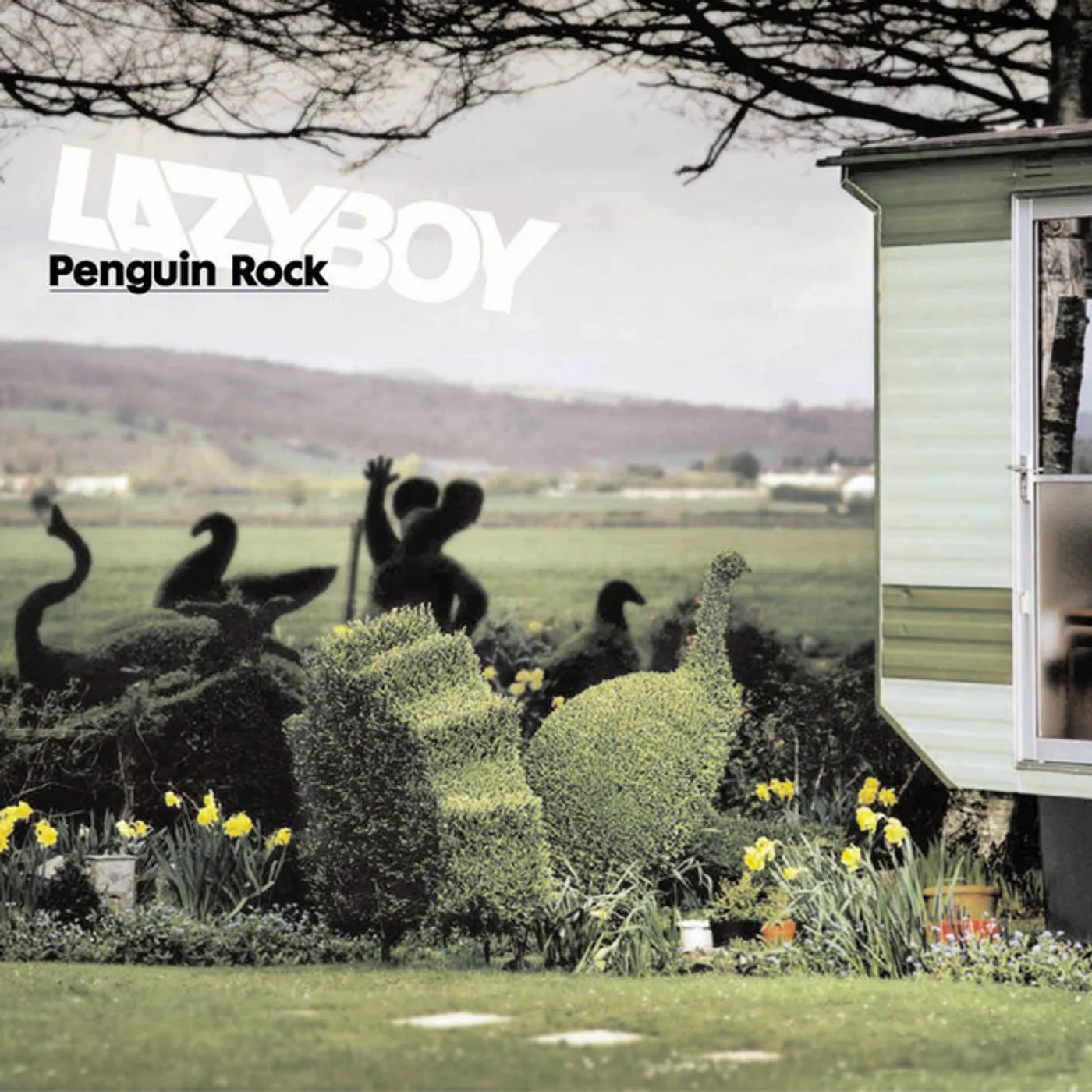Lazyboy PENGUIN ROCK CD