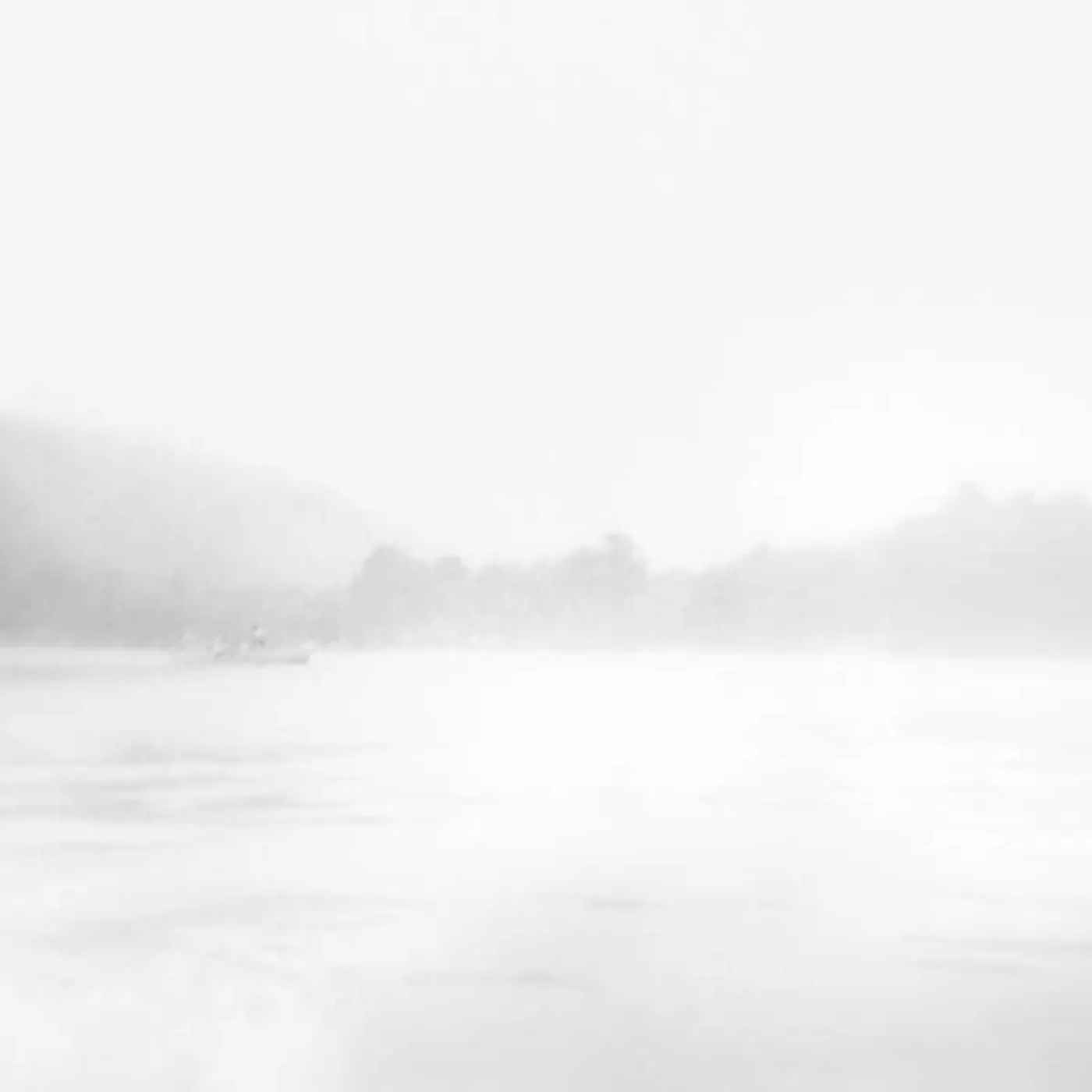 Will Guthrie NIST-NAH Vinyl Record