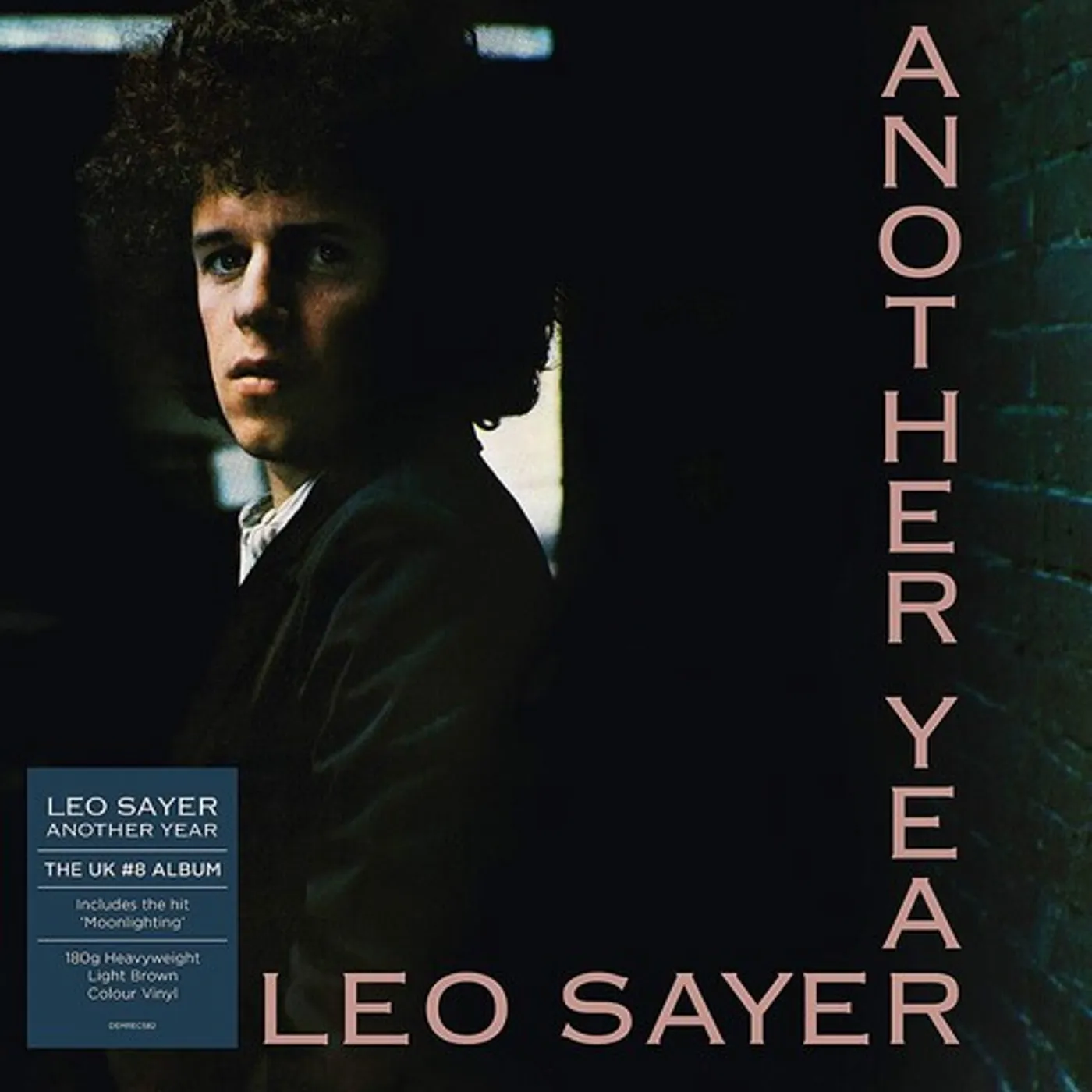 Leo Sayer Another Year Vinyl Record