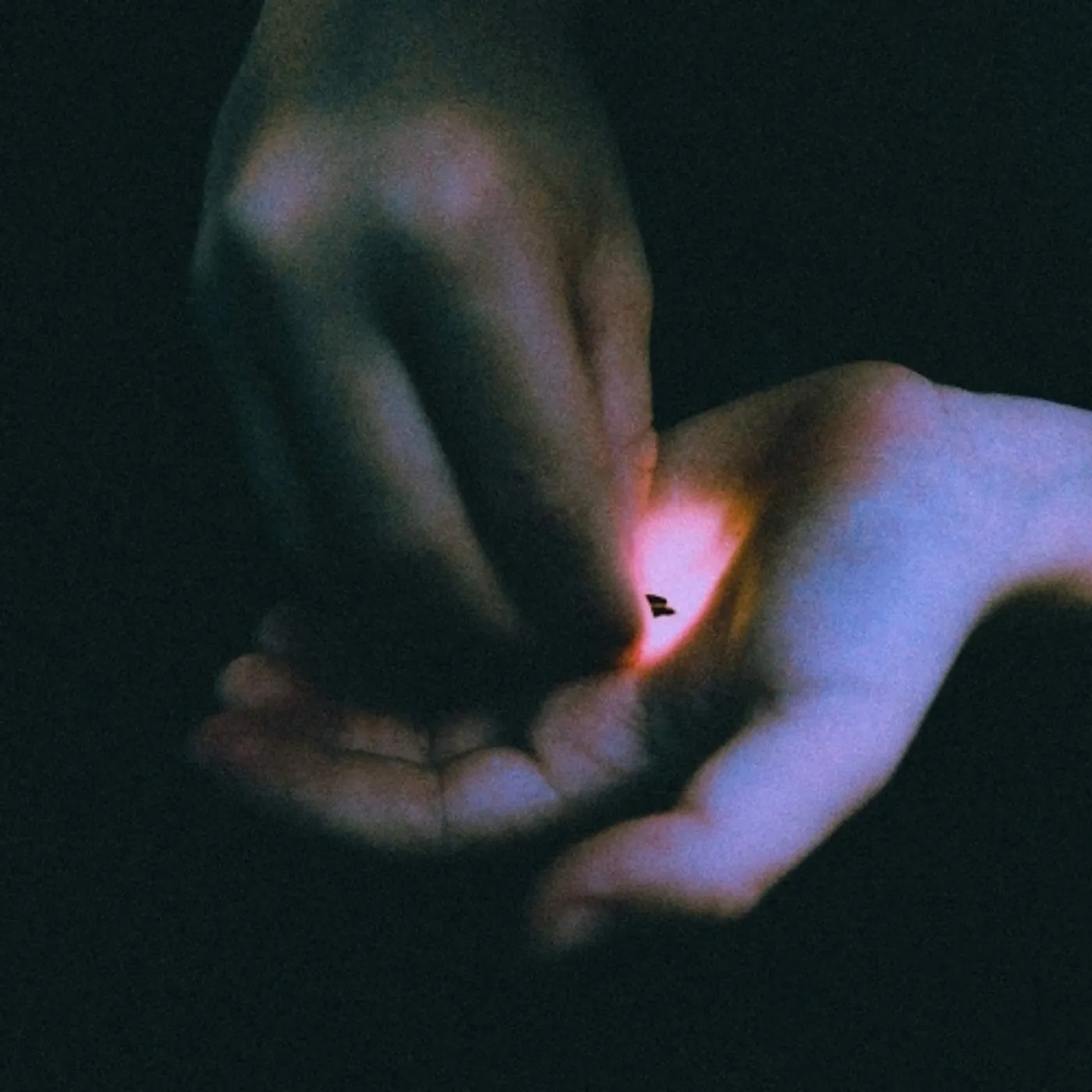 BAMBARA Stray Vinyl Record