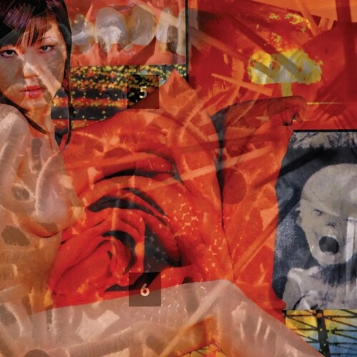 Pain Jerk MISSION INVISIBLE CD