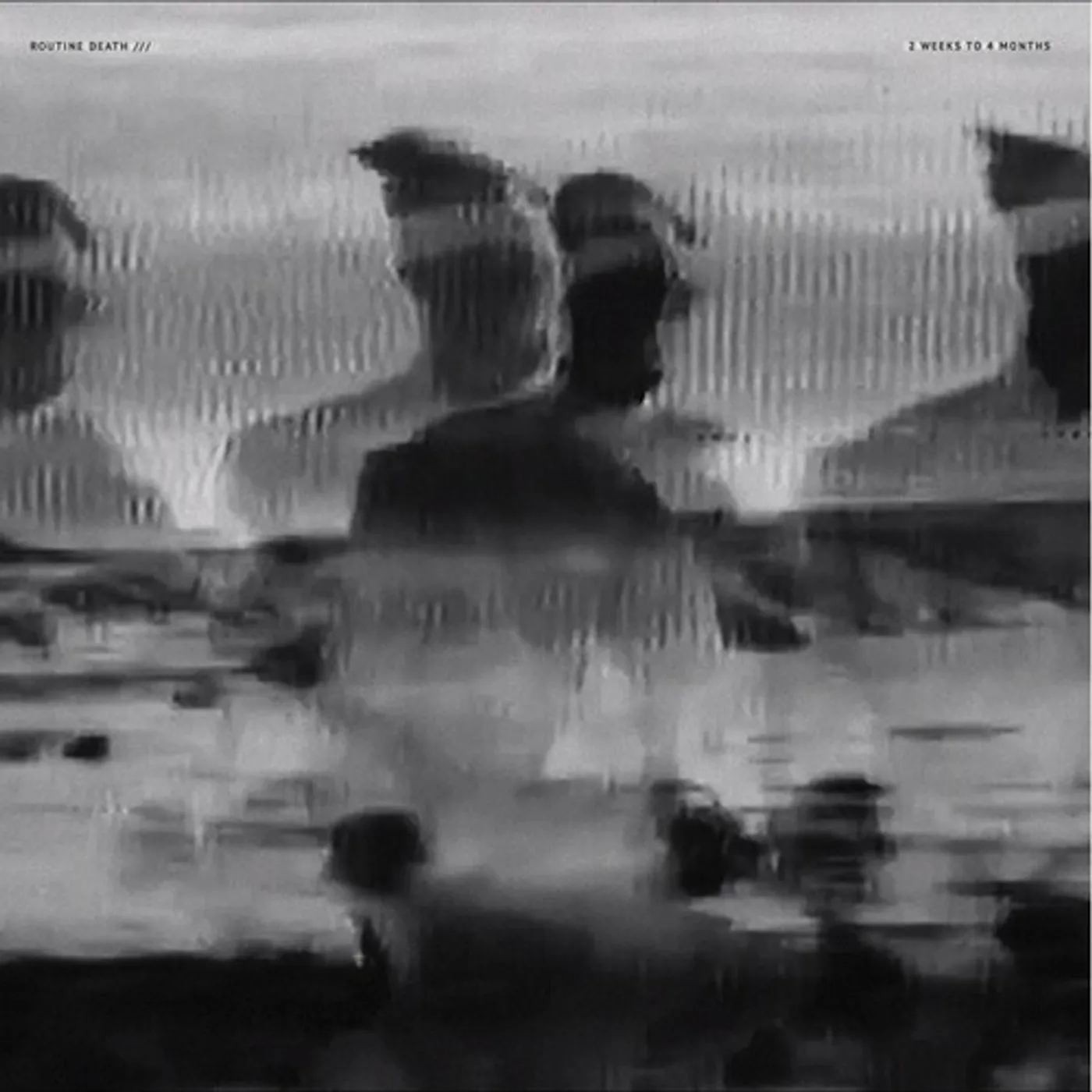 Routine Death 2 WEEKS TO 4 Vinyl Record