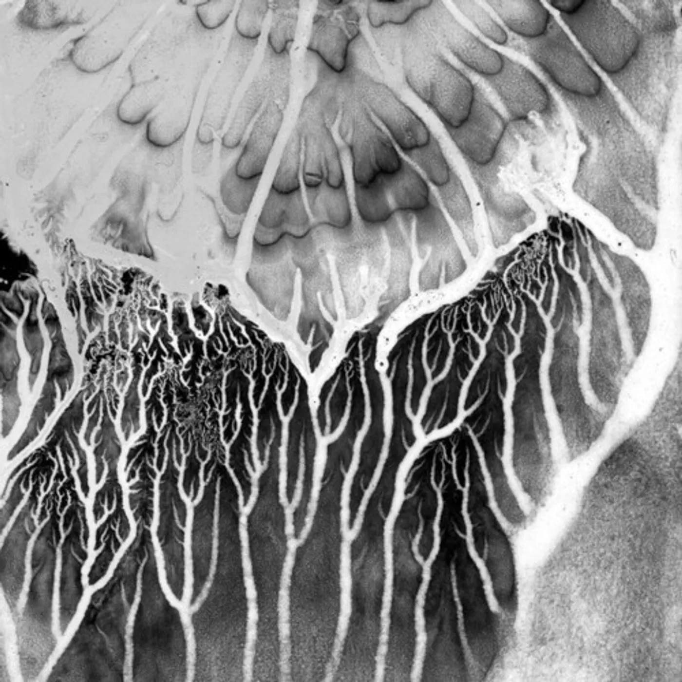 Mad Zach No Past Lives Vinyl Record