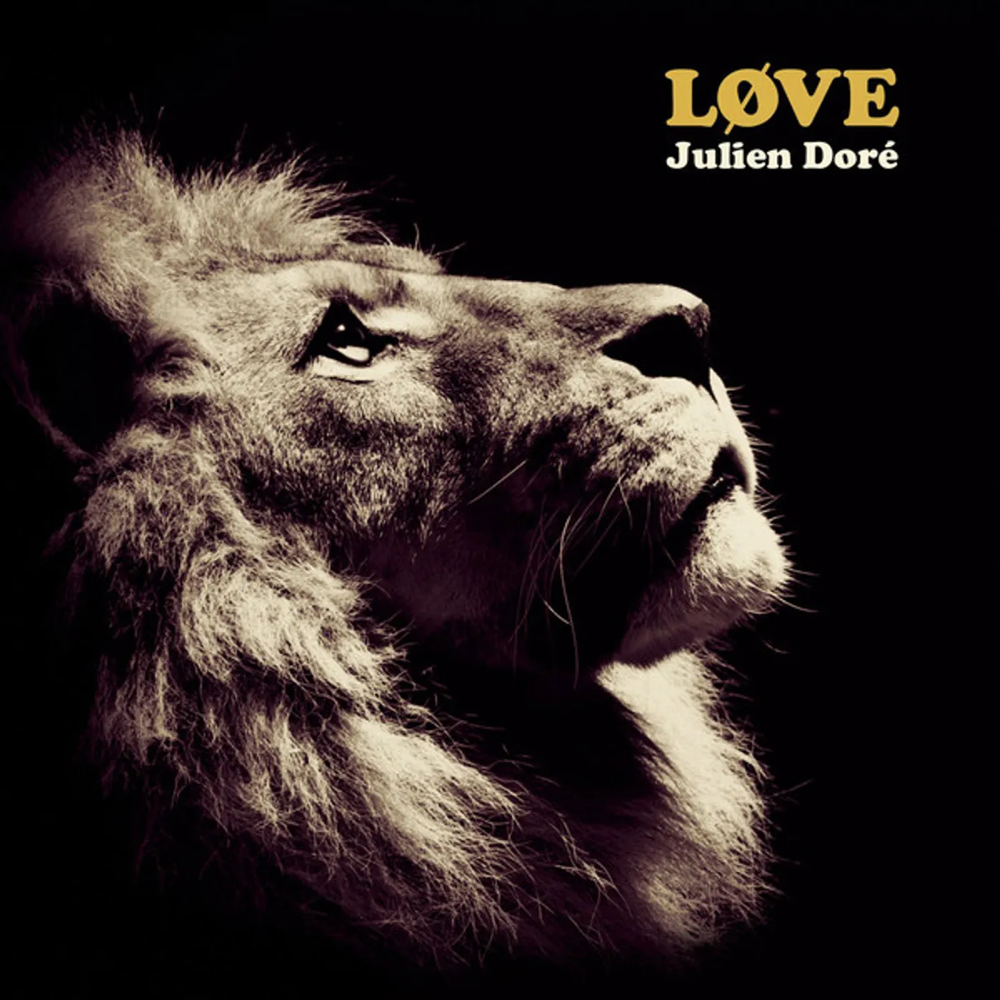 Julien Doré LOVE Vinyl Record