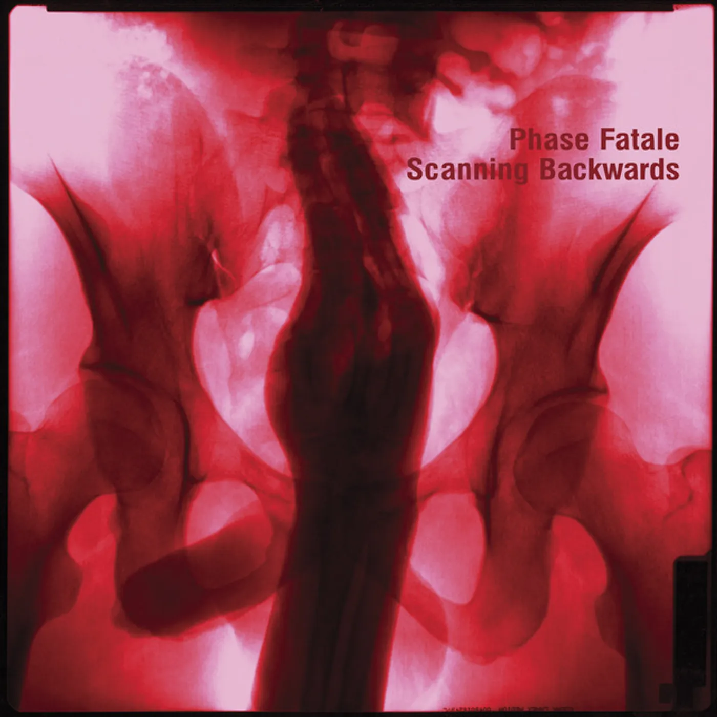 Phase Fatale SCANNING BACKWARDS CD