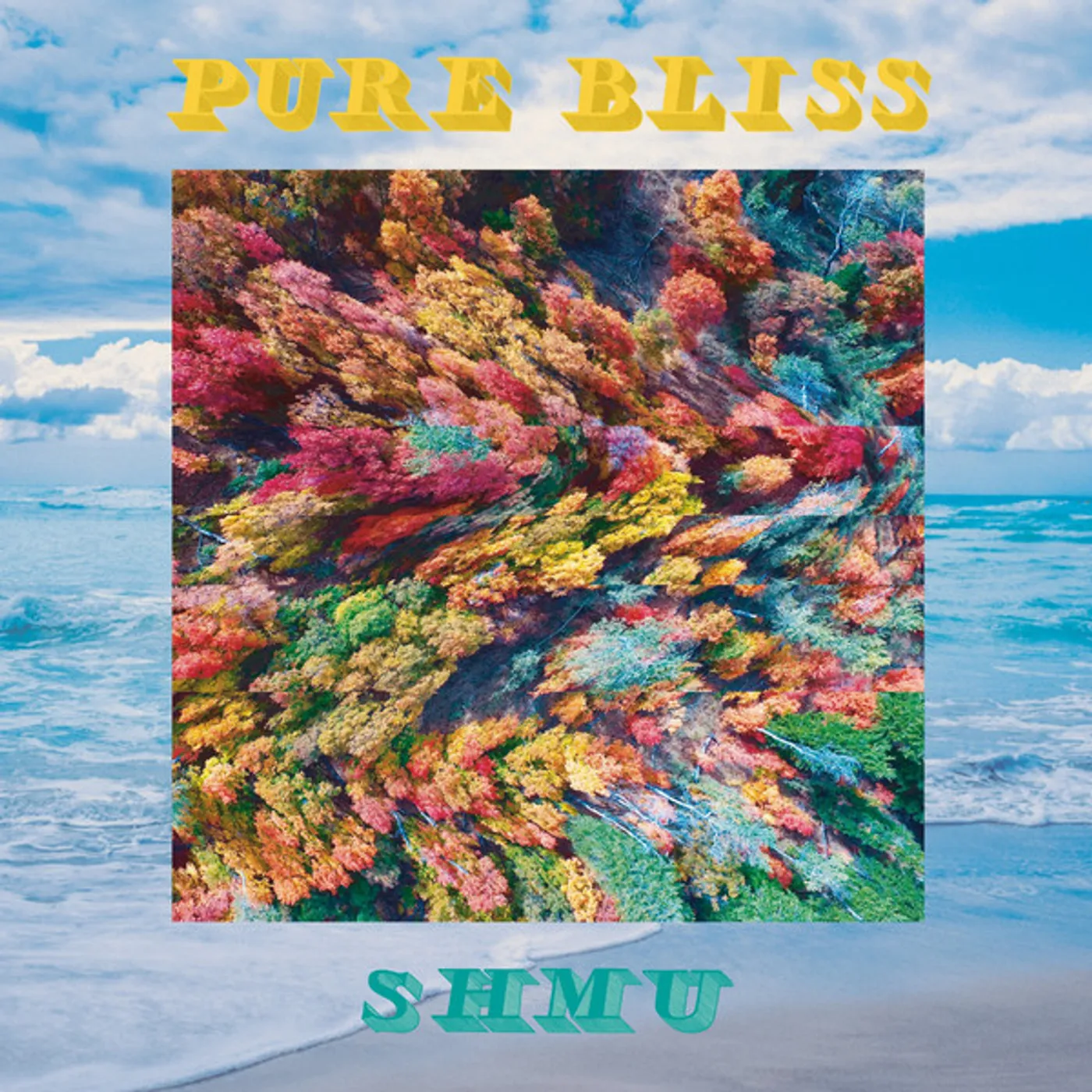 Shmu Pure Bliss Vinyl Record